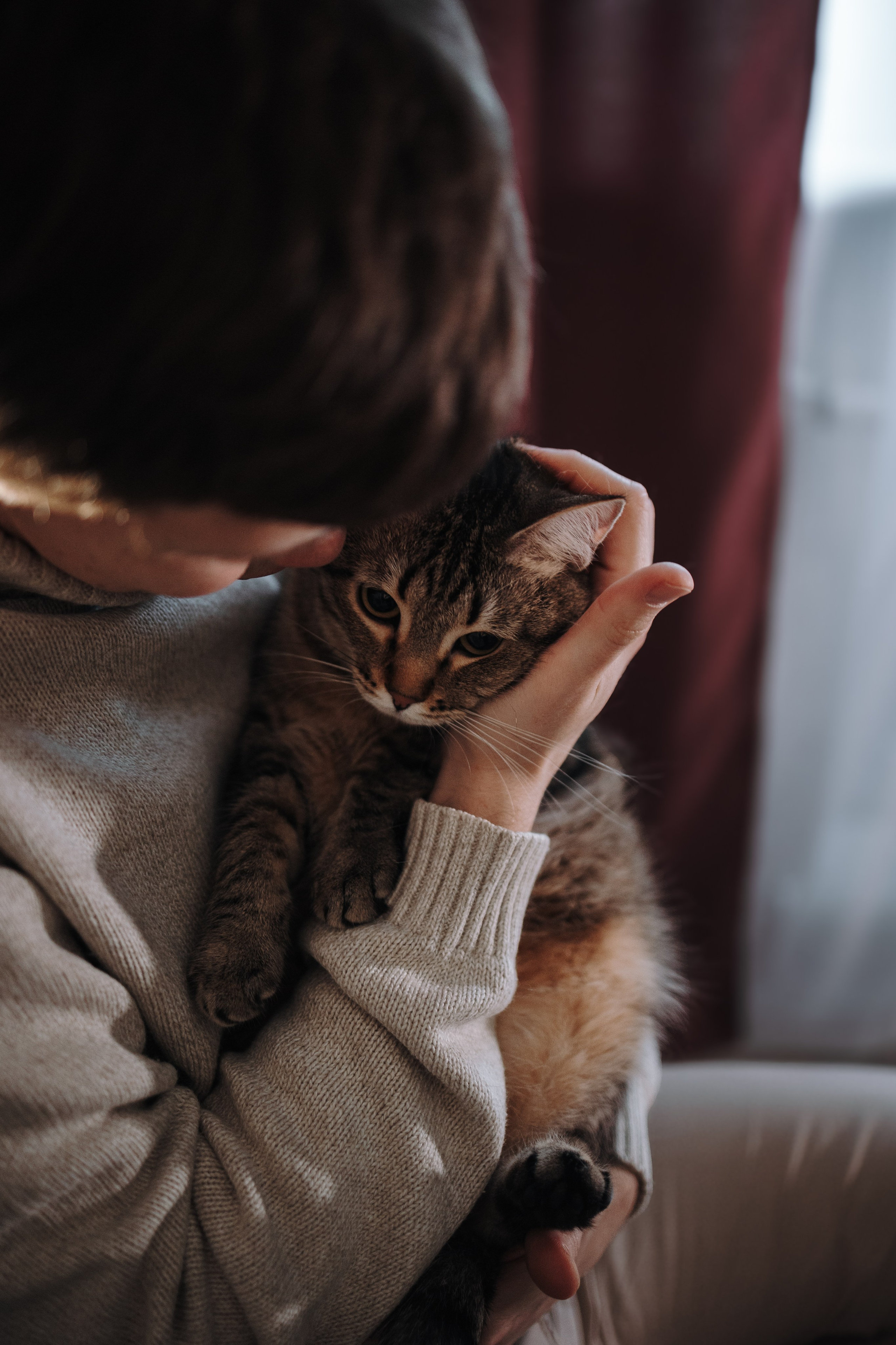 Мася и ее семья. Фотограф — Анималист | Санкт-Петербург