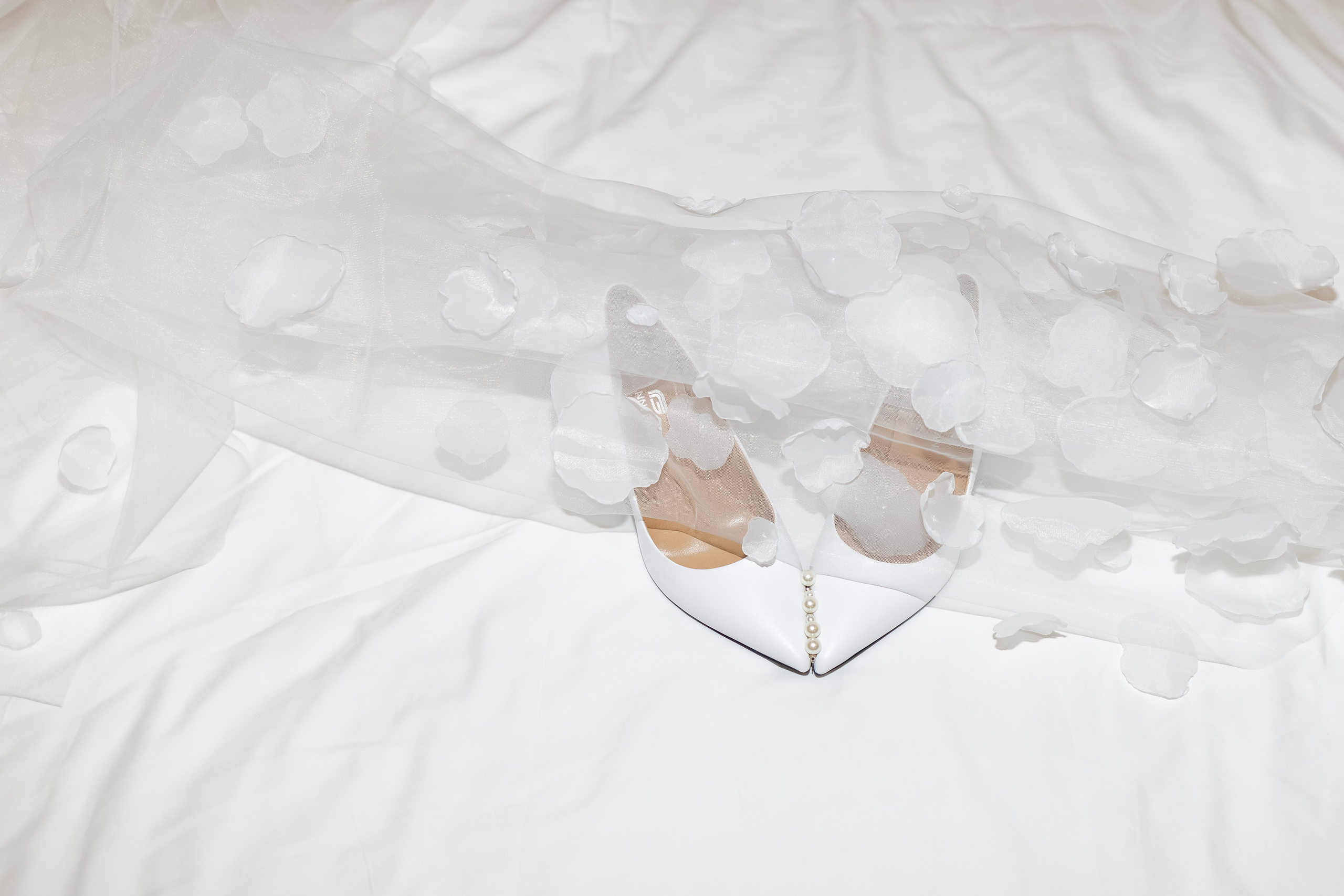 Стоимость услуг. Свадебный фотограф Александра Попова