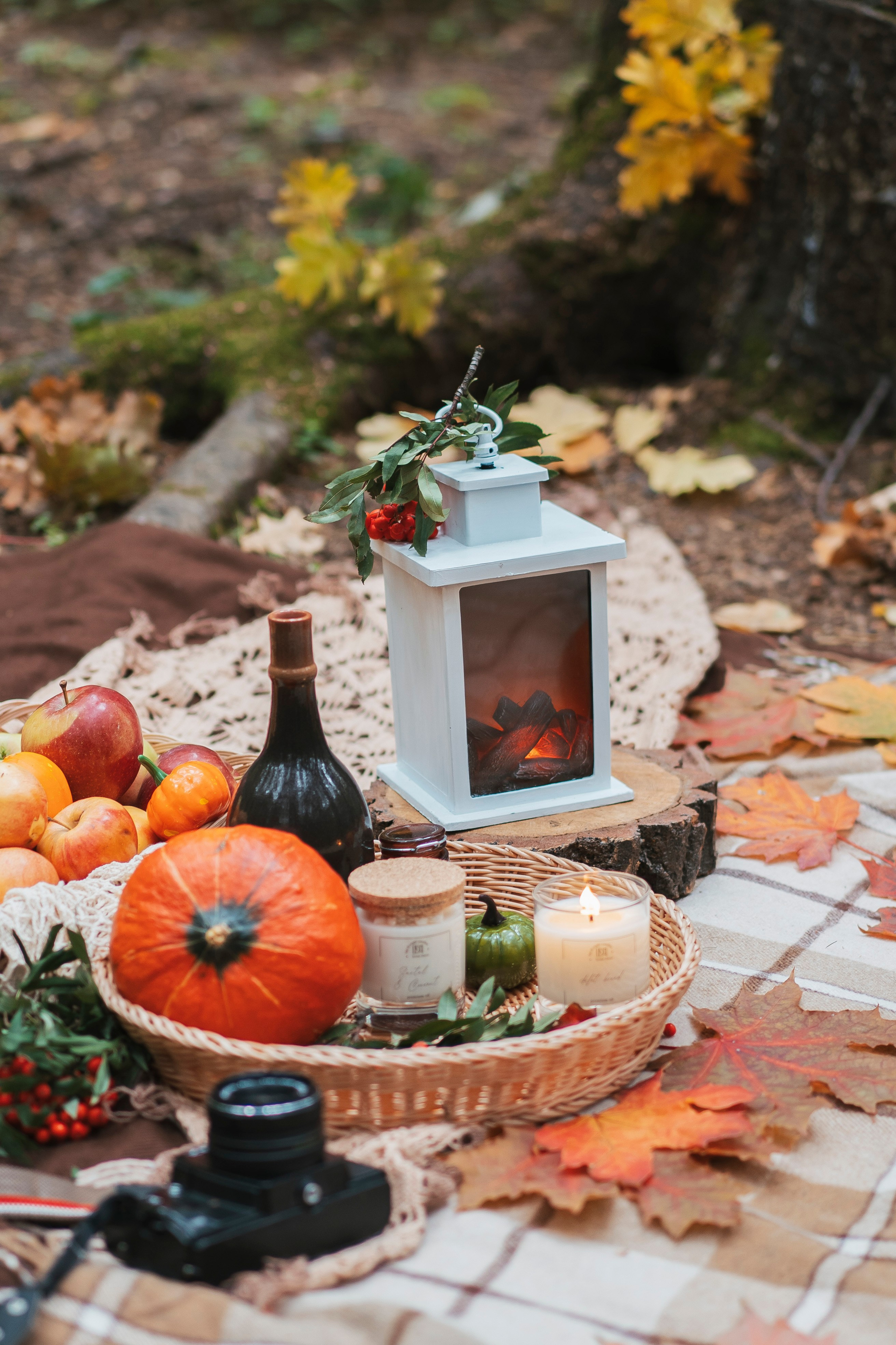 Осень в лесу. Brand photographer