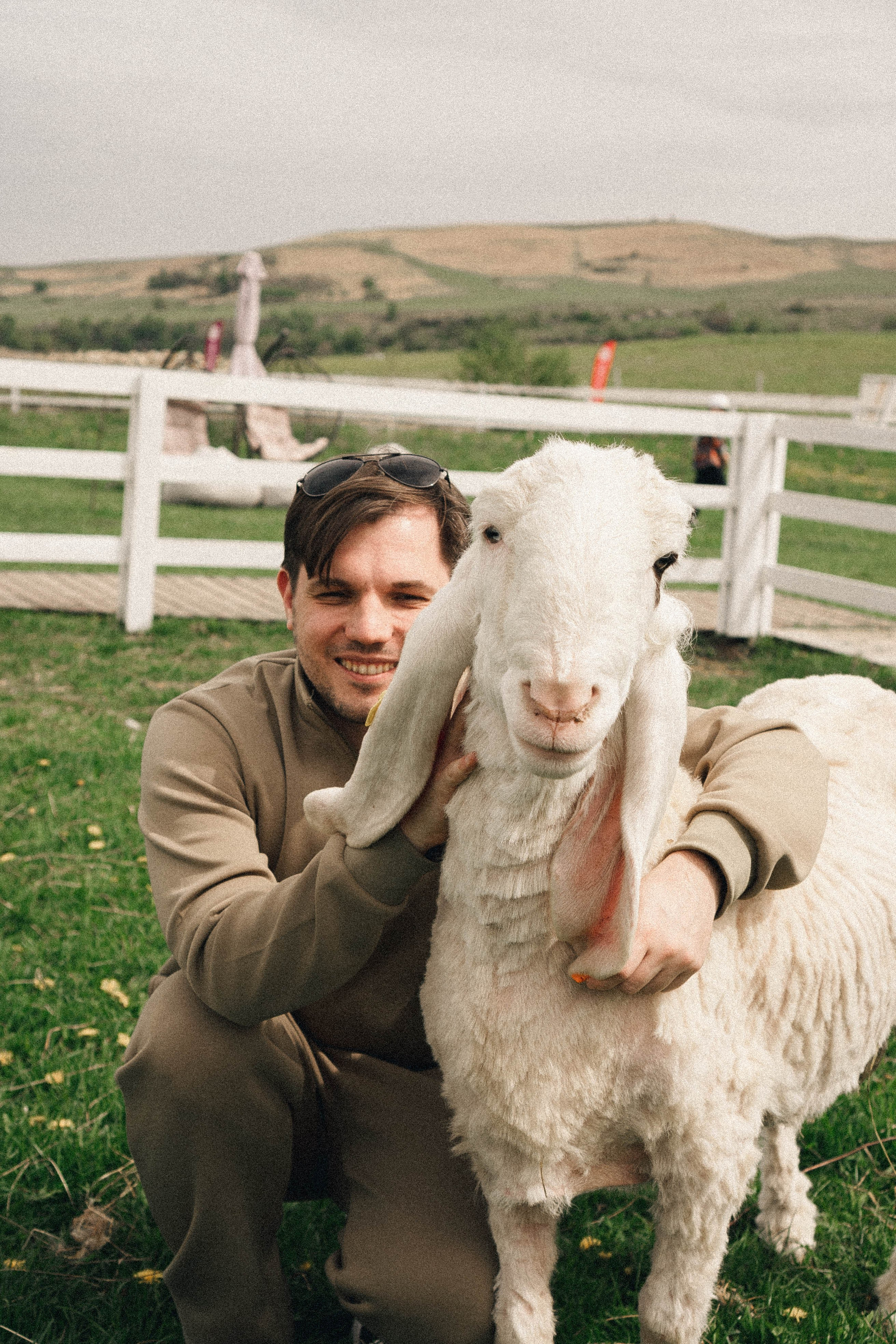 Ферма Альпак. Профессиональный фотограф, Санкт-Петербург — Виктория Богомолова