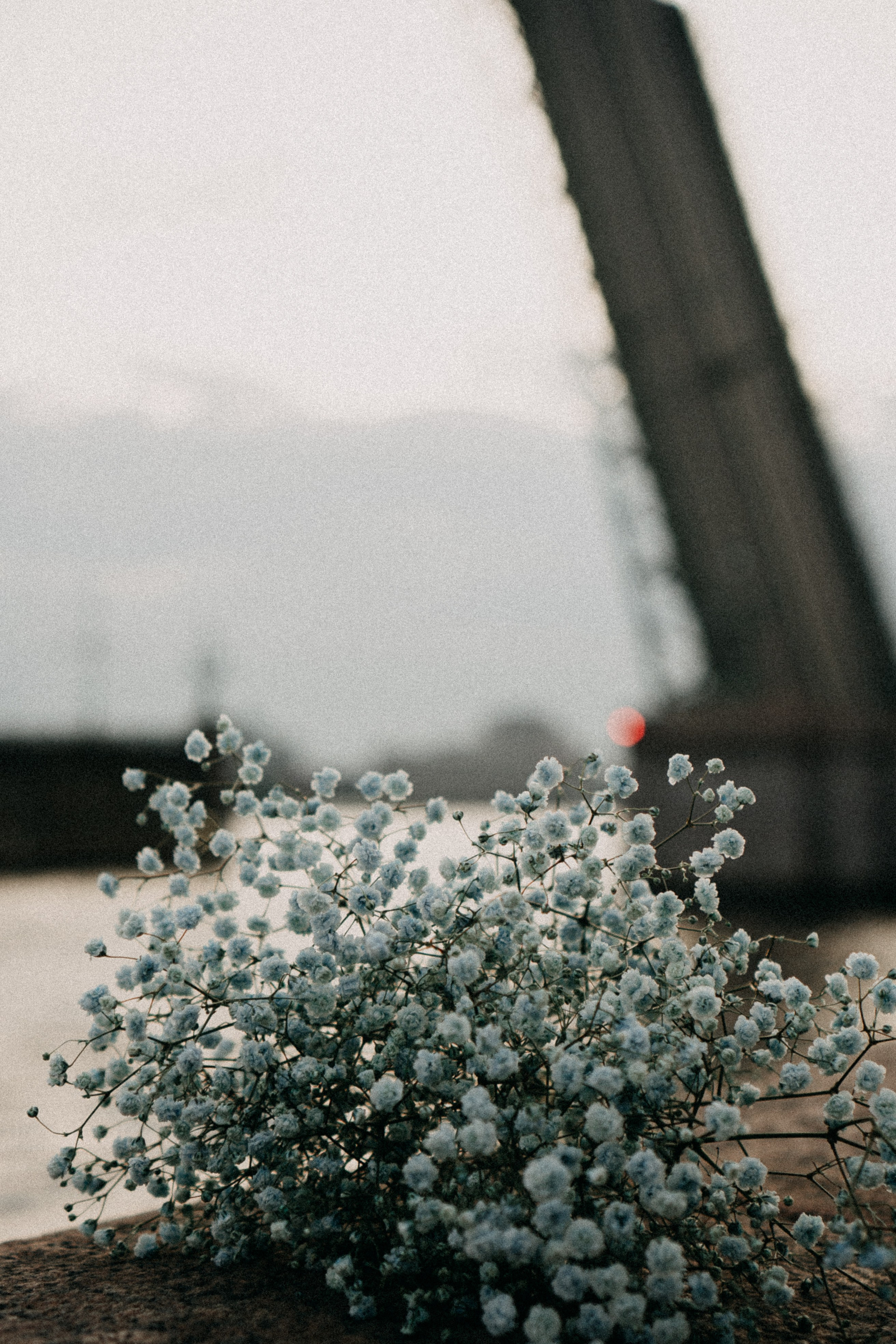 Рассветная. Профессиональный фотограф, Санкт-Петербург — Виктория Богомолова