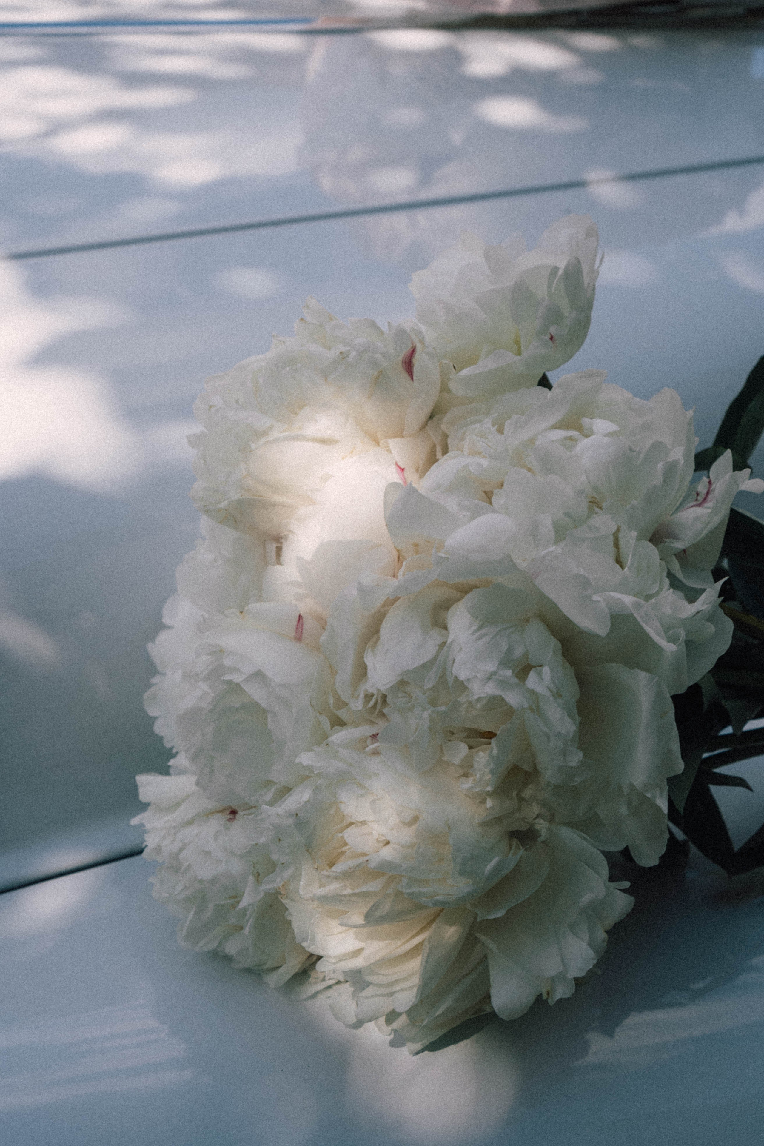 Винтажный стиль. Профессиональный фотограф, Санкт-Петербург — Виктория Богомолова