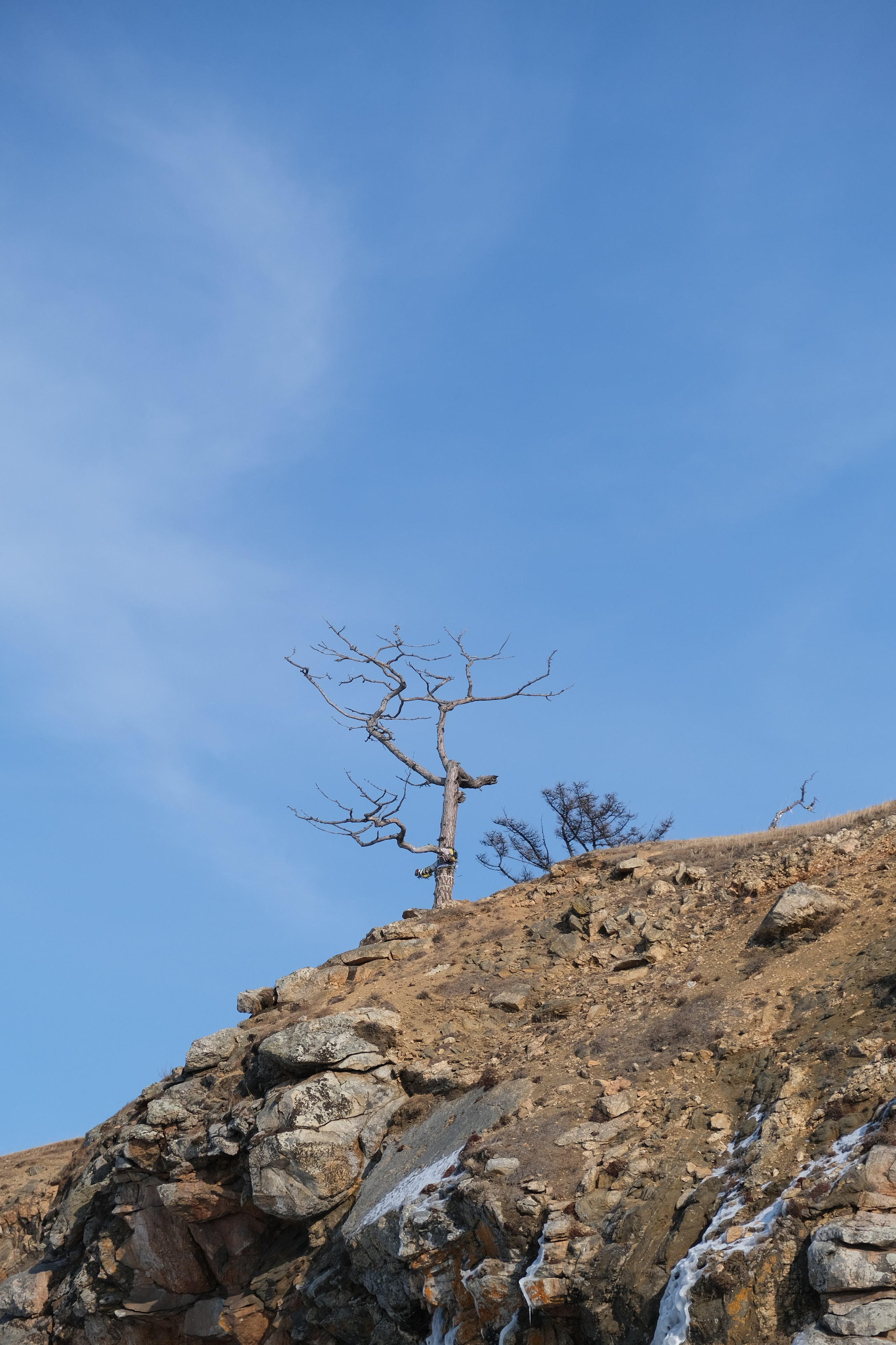 Ольхон. Сэсэг — дочь степи | семейный фотограф