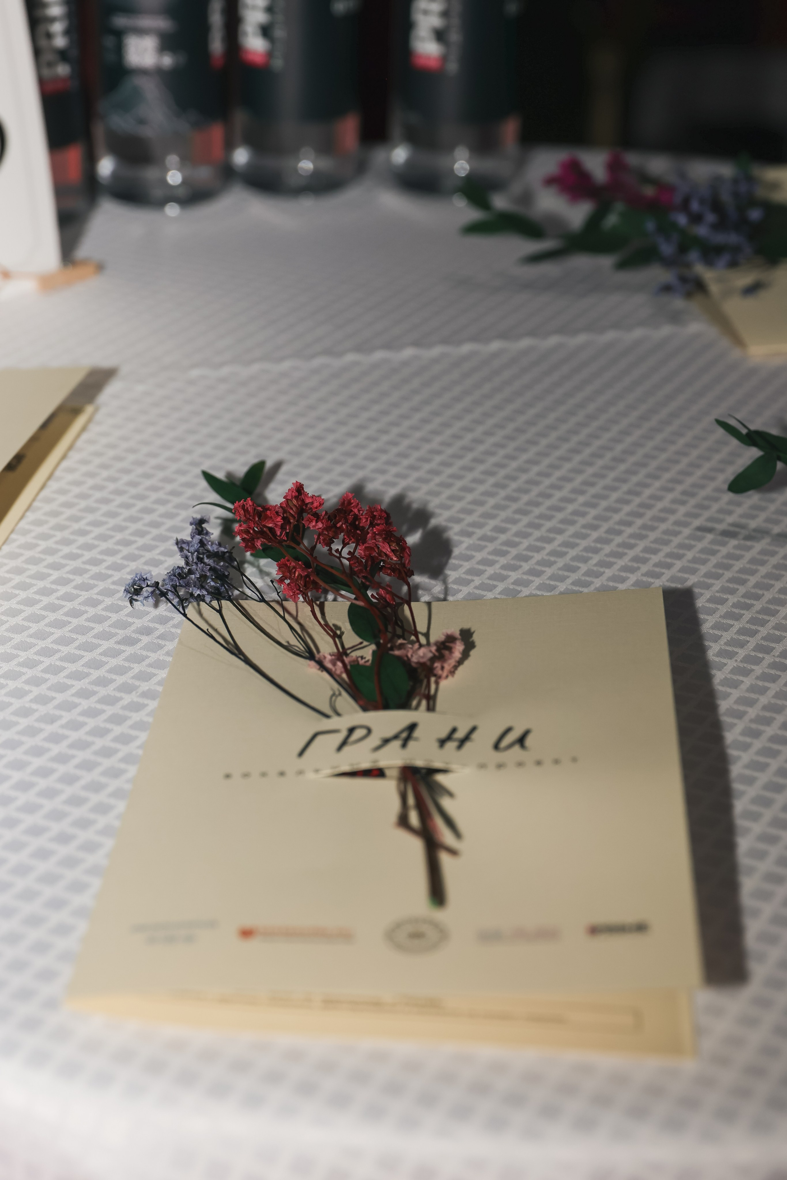 «Грани 3.0». Вокальное шоу в Врн. Фотограф Воронеж, Новая Усмань Мария Бублик