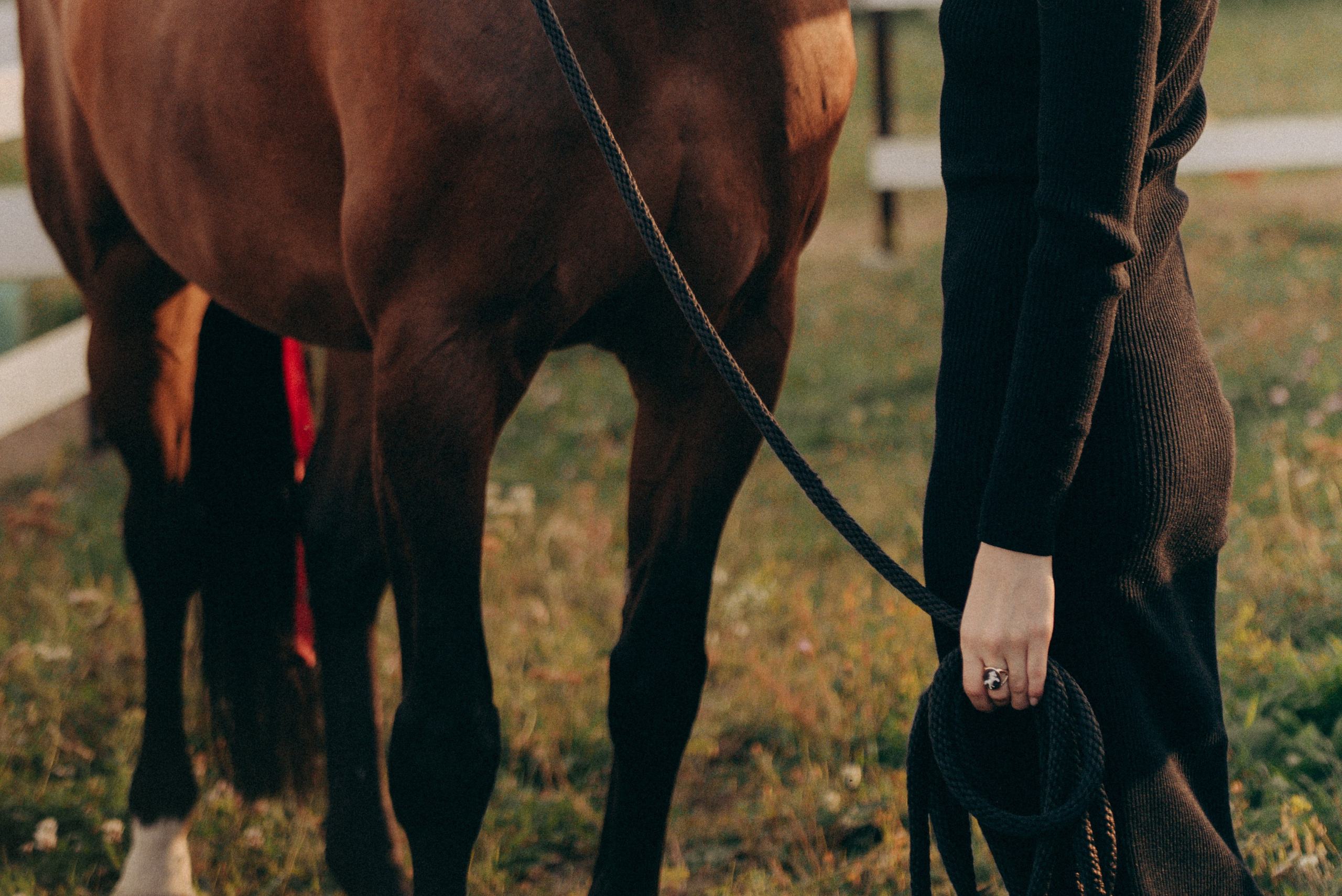 Соня и Лоли Поп. MariaGohri — Конный фотограф, анималист, Рязань
