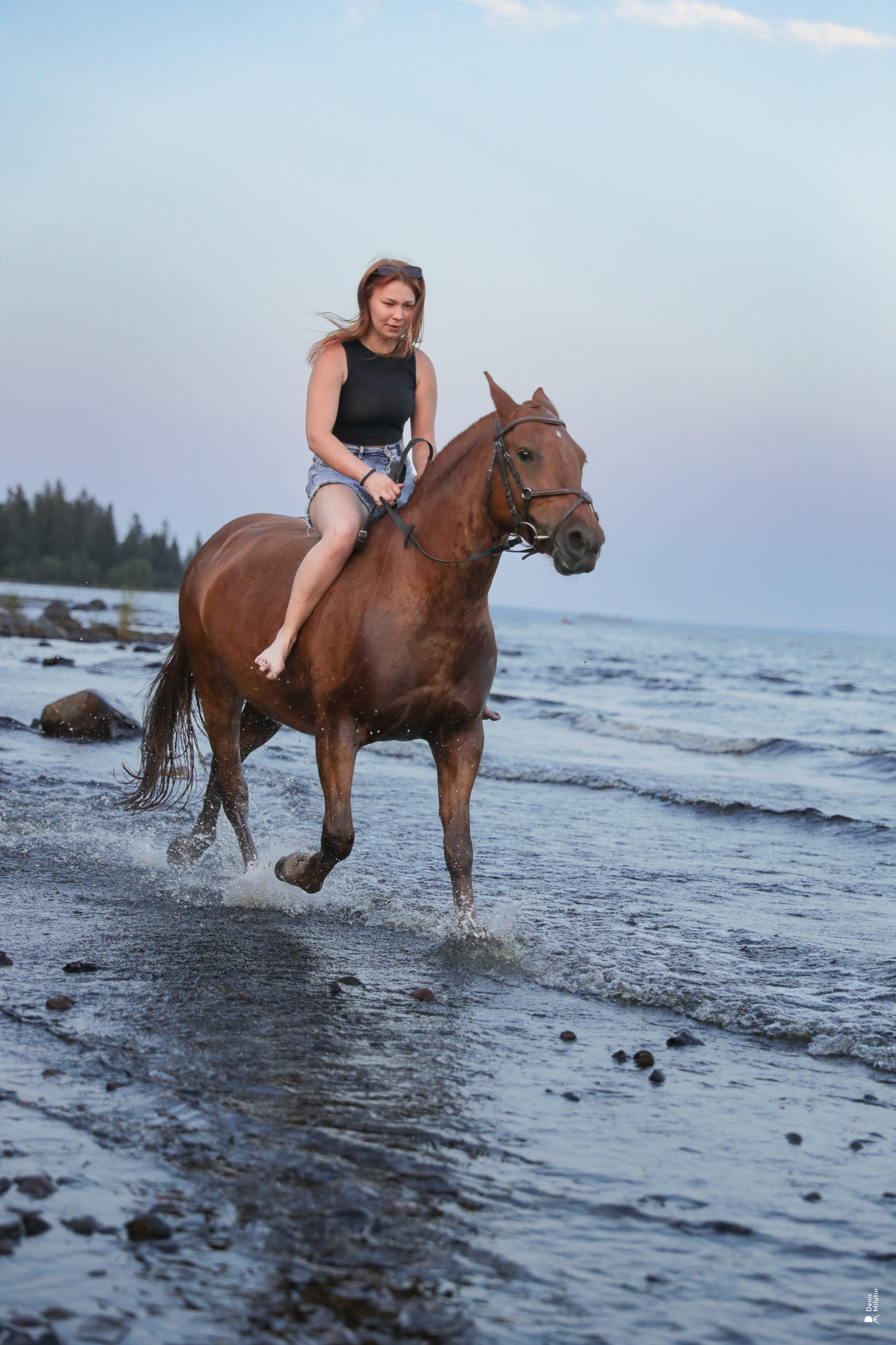 Фото с лошадьми. Портретный фотограф Денис Милютин