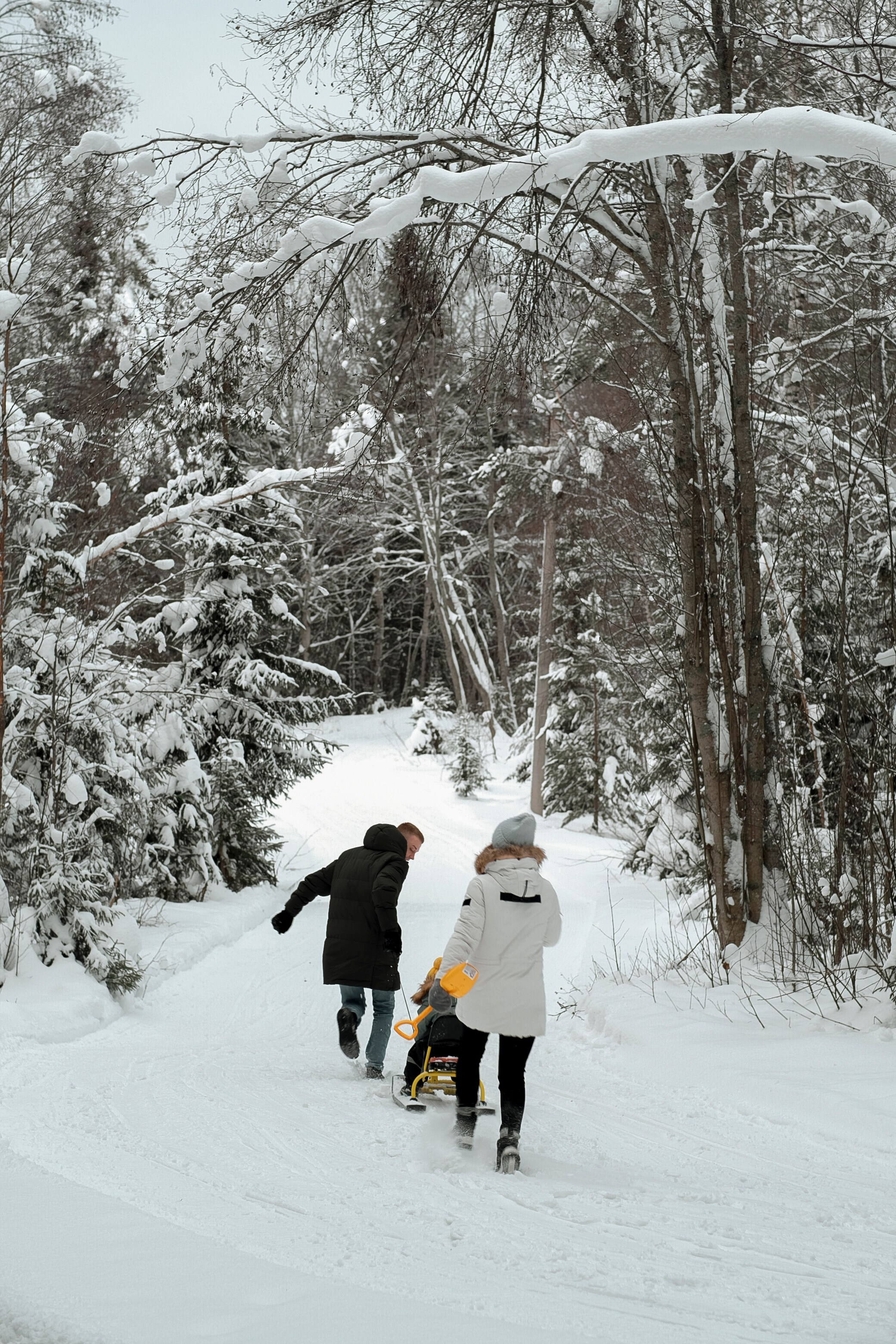 Семья Музыченко. Семейный и индивидуальный фотограф Дарья Мельник