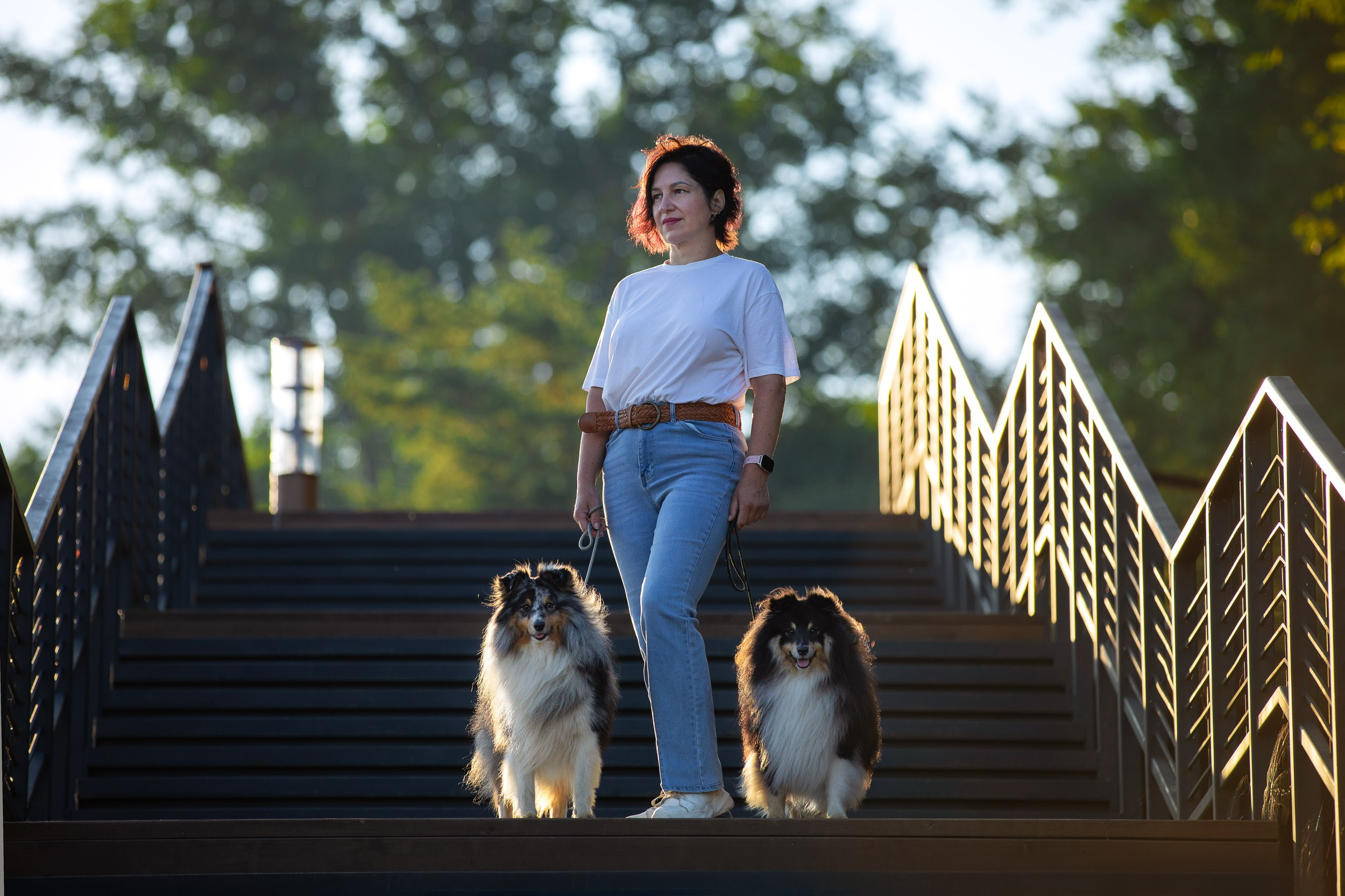 Съемка с шелти на рассвете на песчаном карьере. Фотограф-анималист в Москве и Московской области Татьяна Фролова