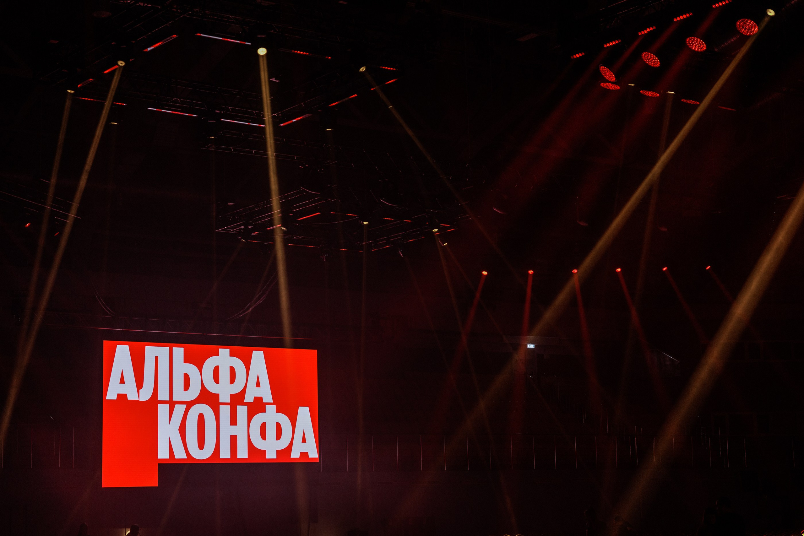 Альфа-Конфа. Свадебный фотограф в Ульяновске Алексей Китов