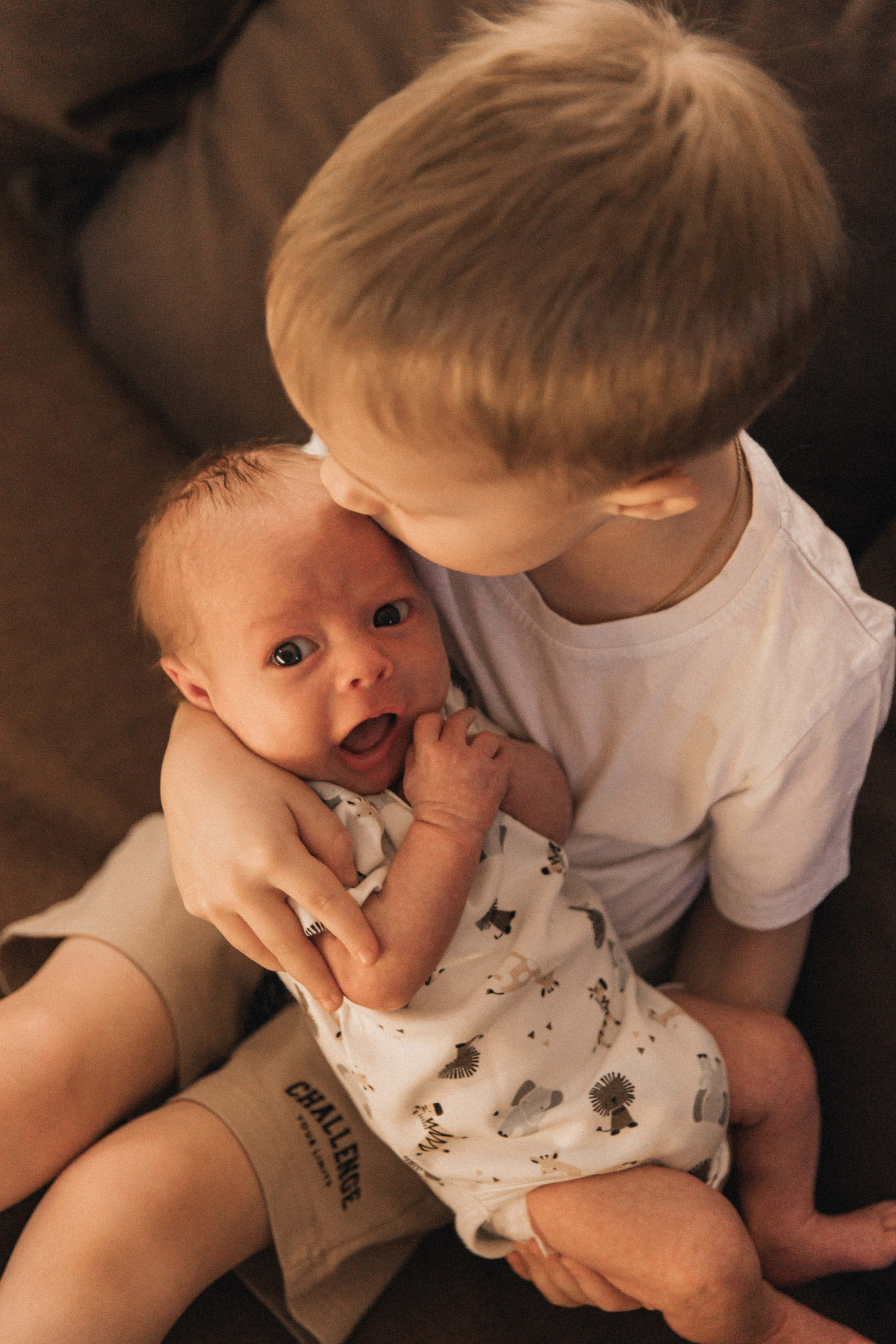 Лев. Фотограф Анастасия Петрова