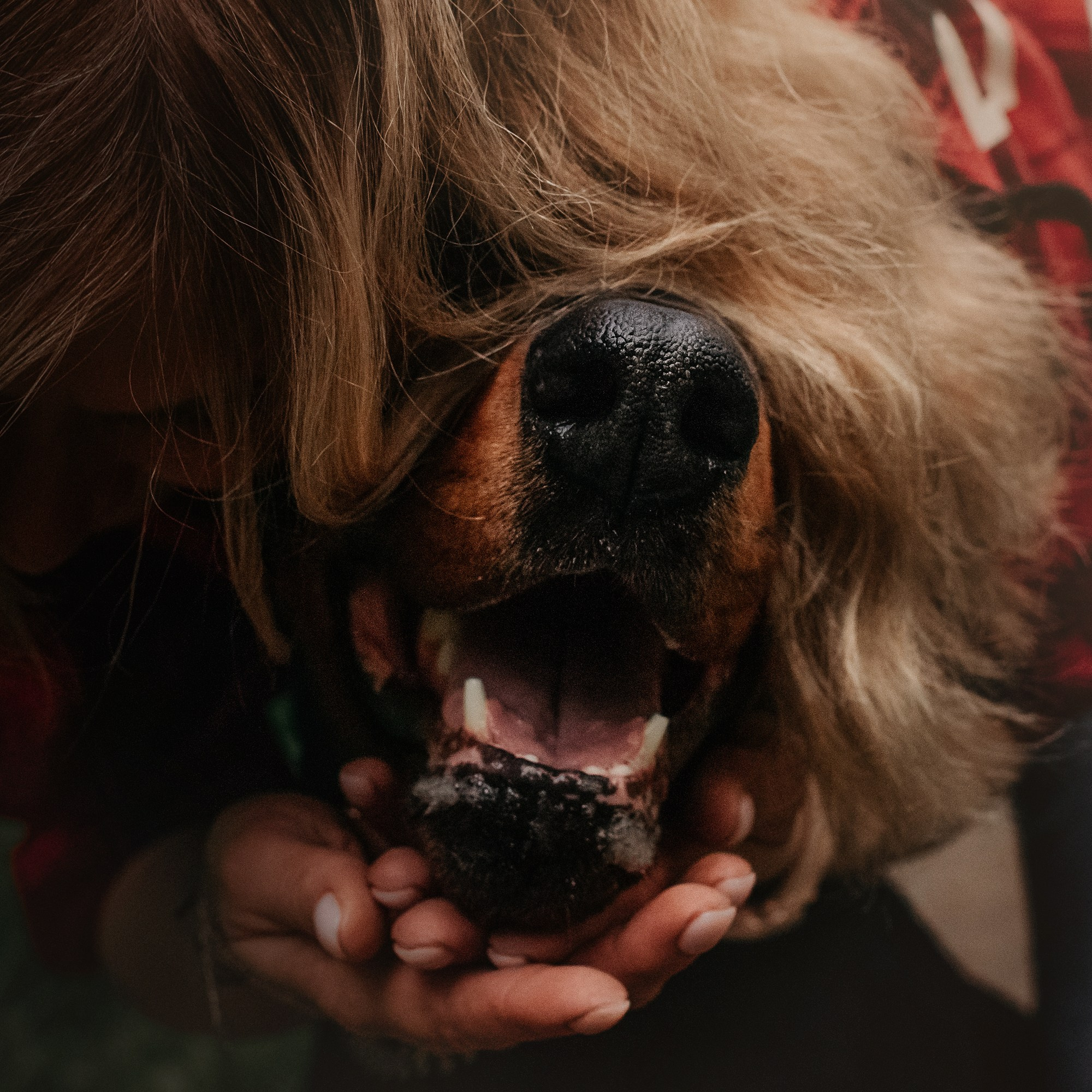 Вера и Люк. Фотограф Наталья Потапова