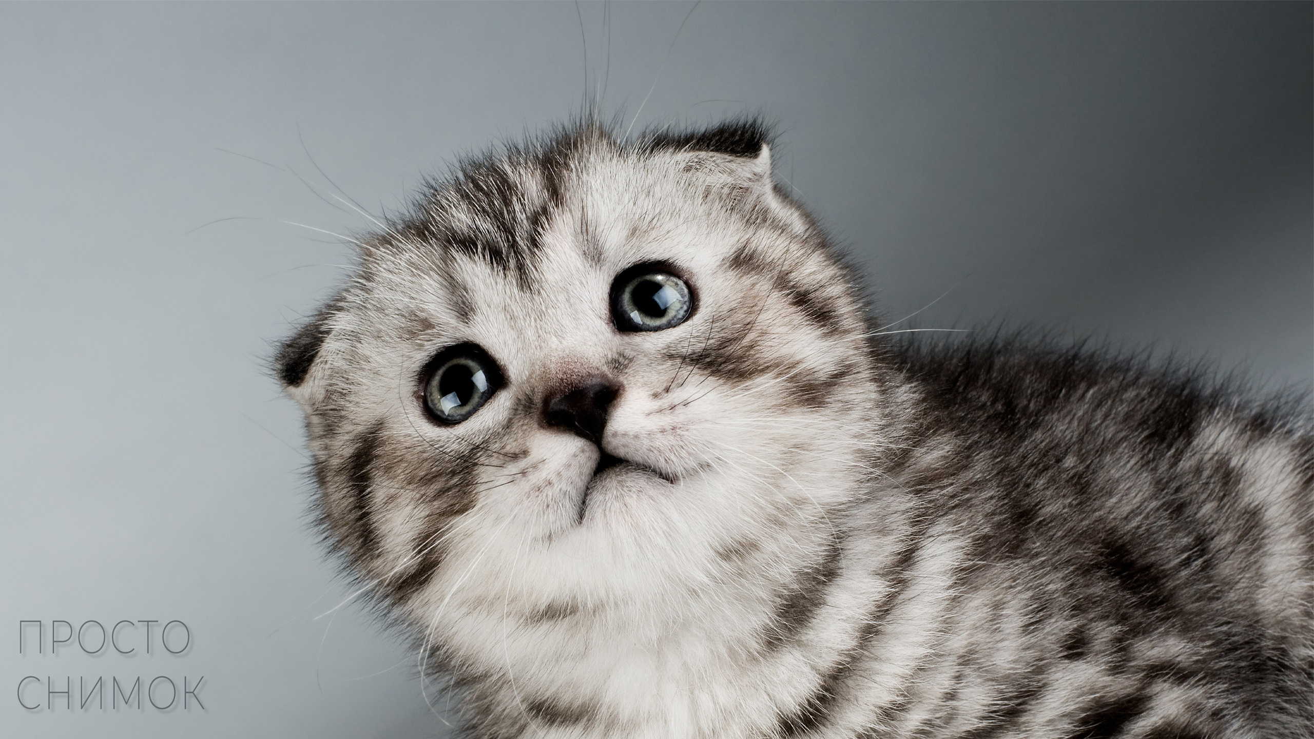 Фотопродакшн в Москве — предметная, интерьерная, рекламная | TrendFrame. Видеопродакшн в Москве — рекламные и корпоративные видео | TrendFrame