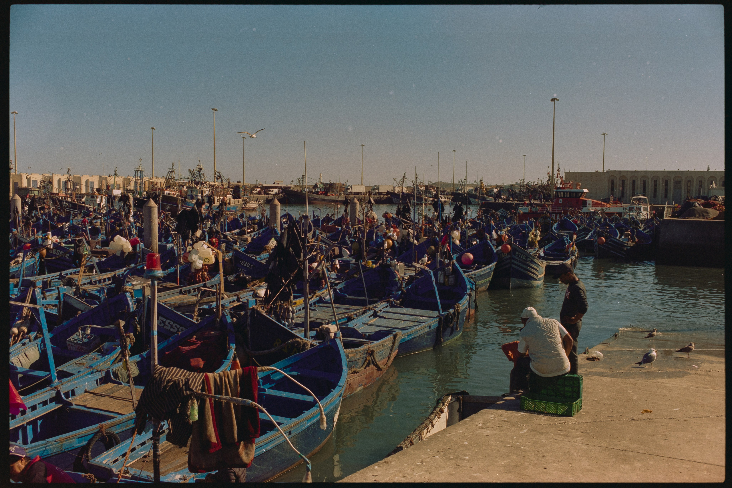 Марокко (плёнка Алёны). Игорь Гичка. Портрет с любовью