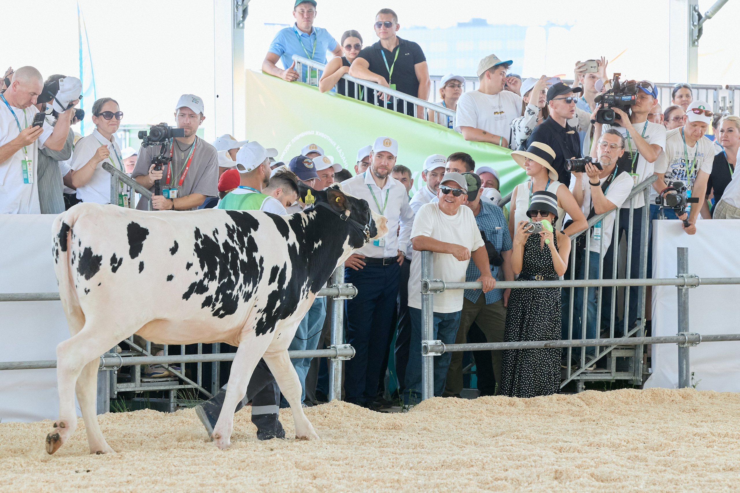 РЕПОРТАЖ. Главная