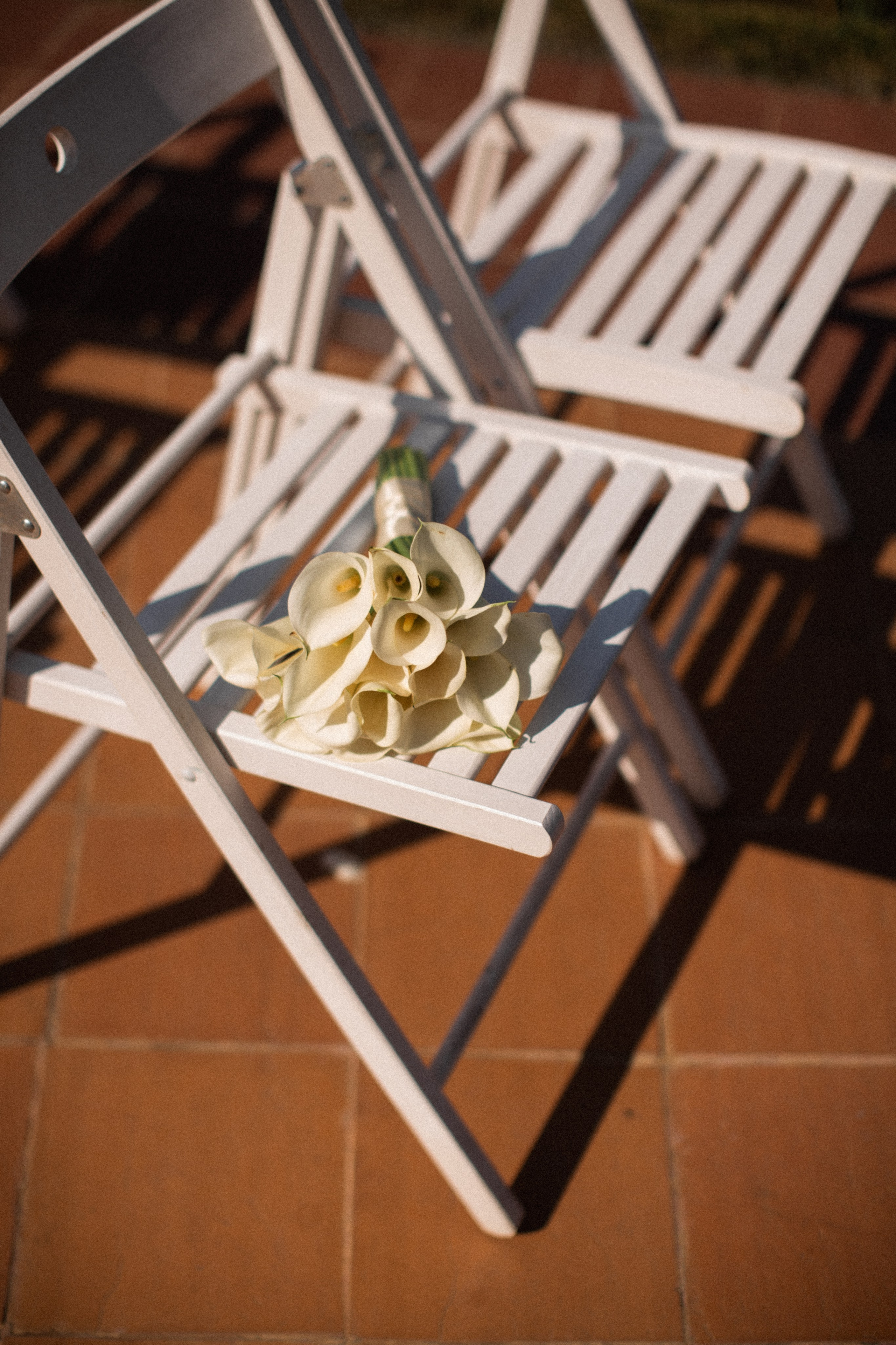 Антон и Лиза 4/08/23. Фотограф НатаФото (Наталья Яковенко) Дмитров Москва Питер