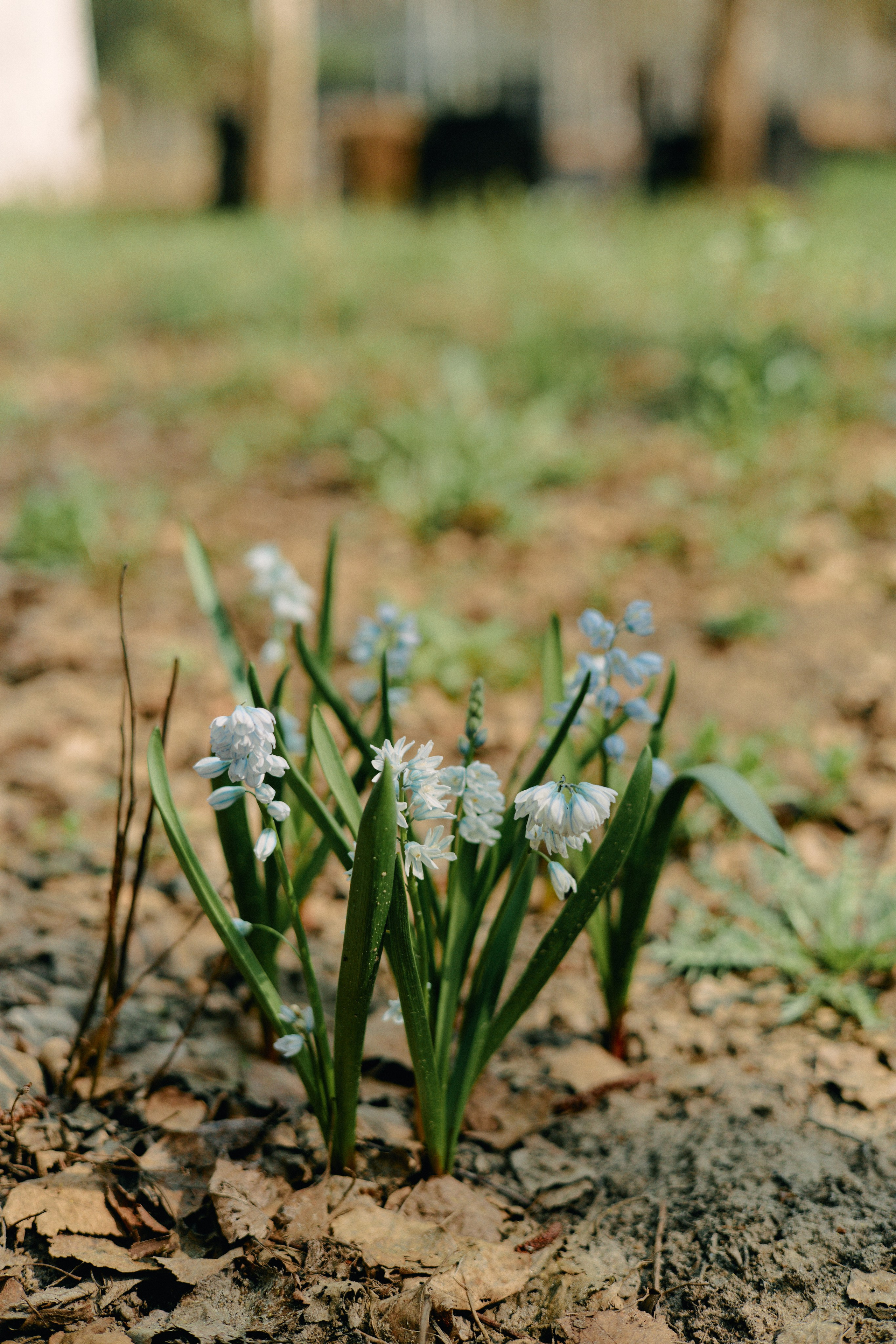 Бутик-отель Поле летом. Профессиональный Фотограф во Владимире, в Москве и в Суздале — Полина Романычева