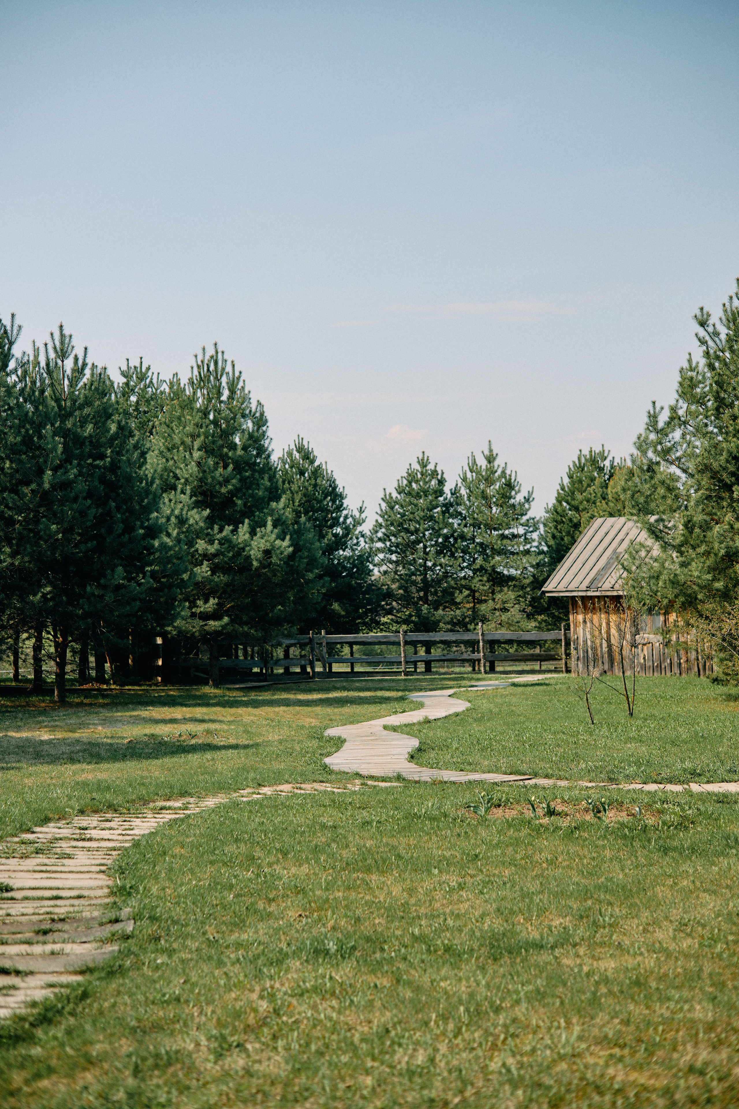 Бутик-отель Поле летом. Профессиональный Фотограф во Владимире, в Москве и в Суздале — Полина Романычева