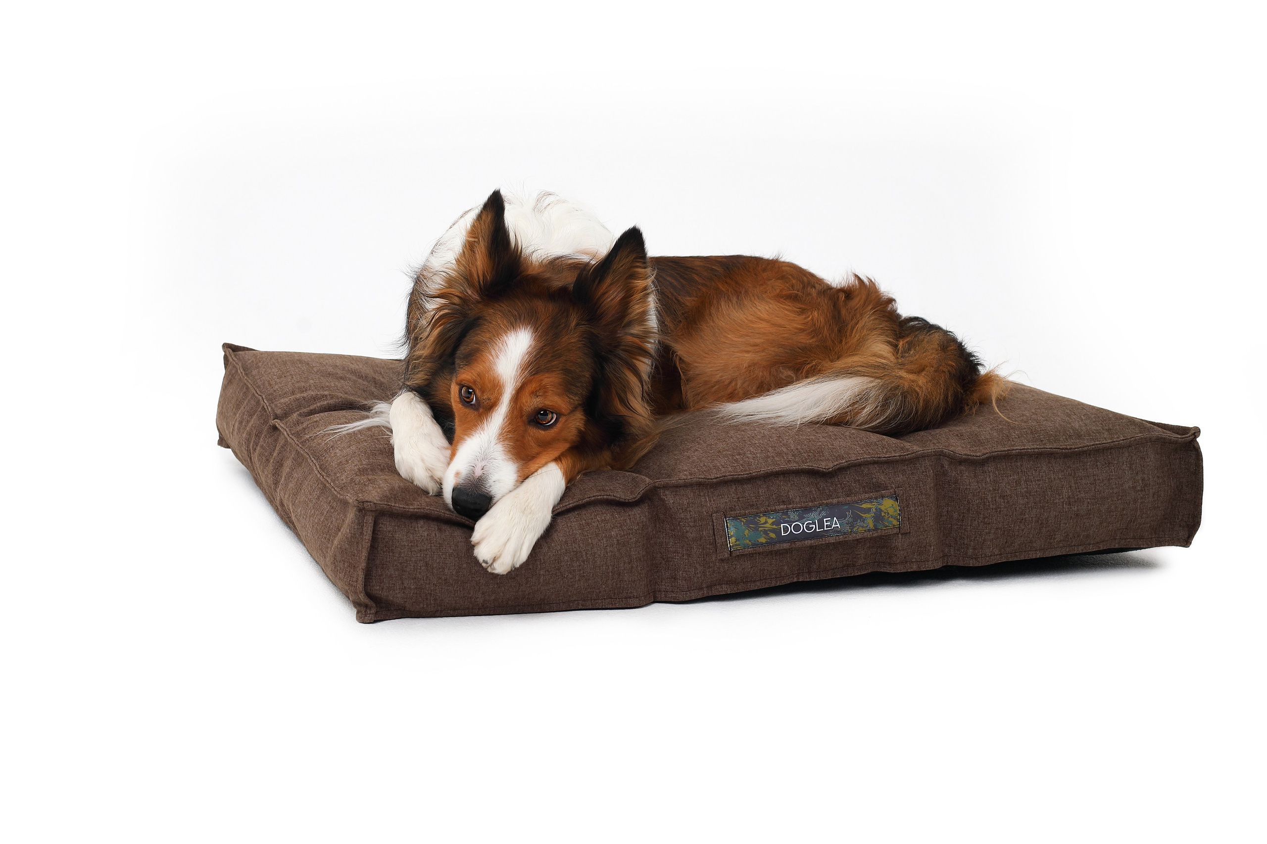 Для брендов. Фотограф- анималист Санкт-Петербург