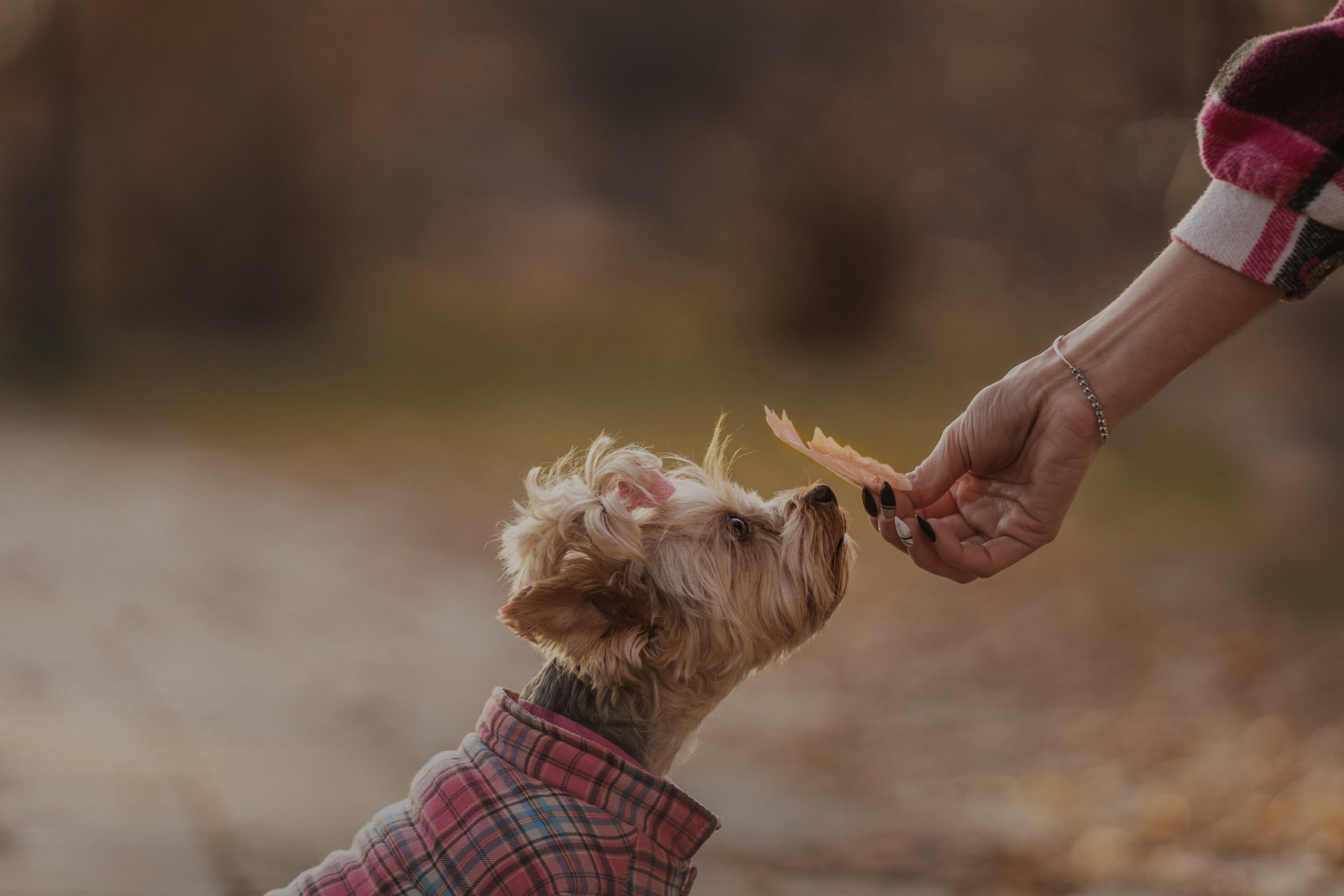 Мария + Роксана (история дружбы). Kameramotor74