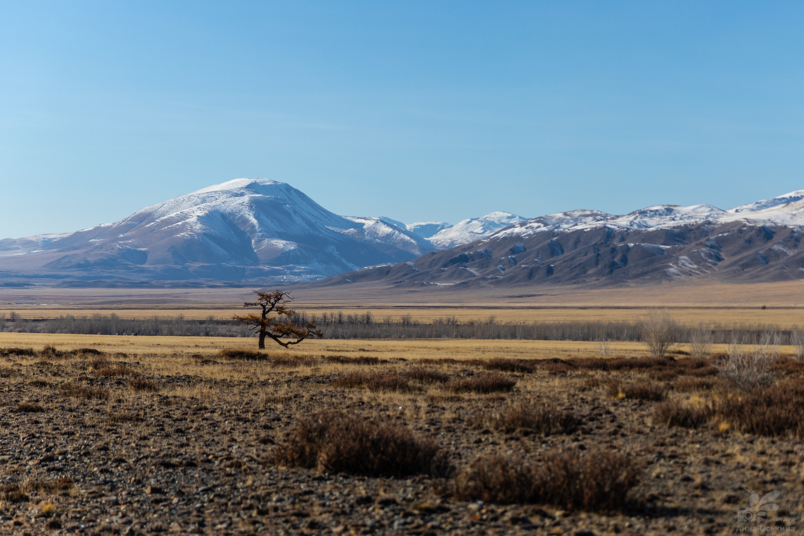 Горный Алтай. Фотограф в Кемерово Анна Оськина