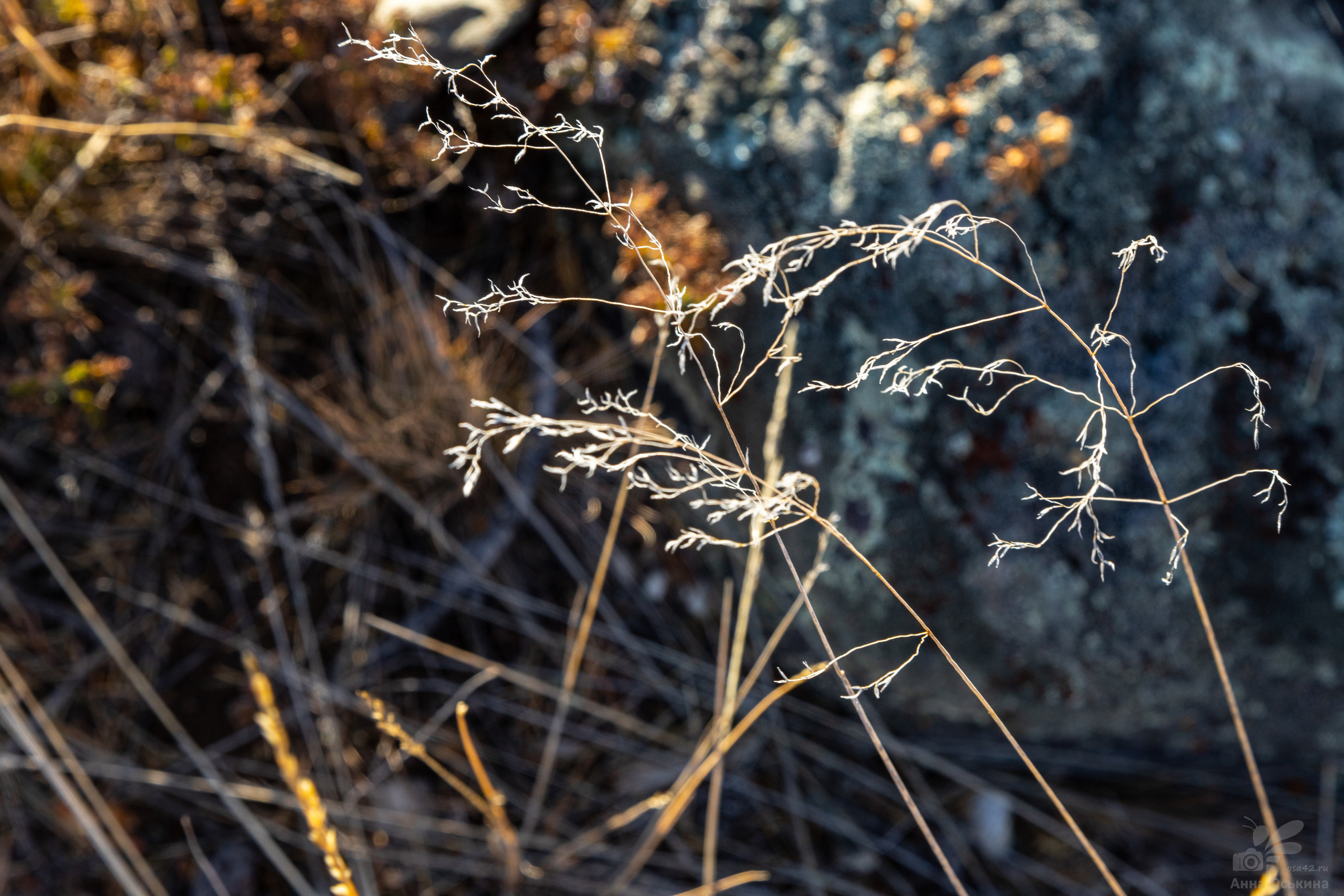 Горный Алтай. Фотограф в Кемерово Анна Оськина