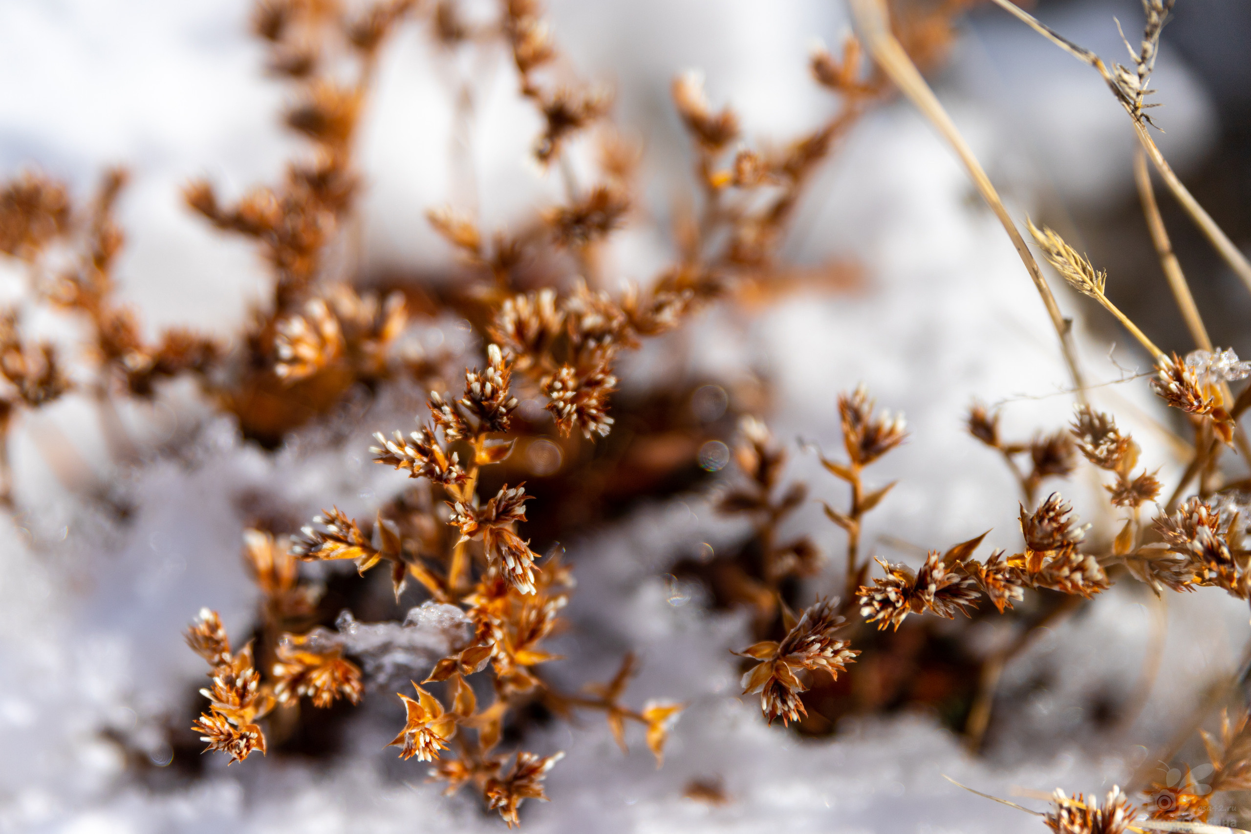 Горный Алтай. Фотограф в Кемерово Анна Оськина