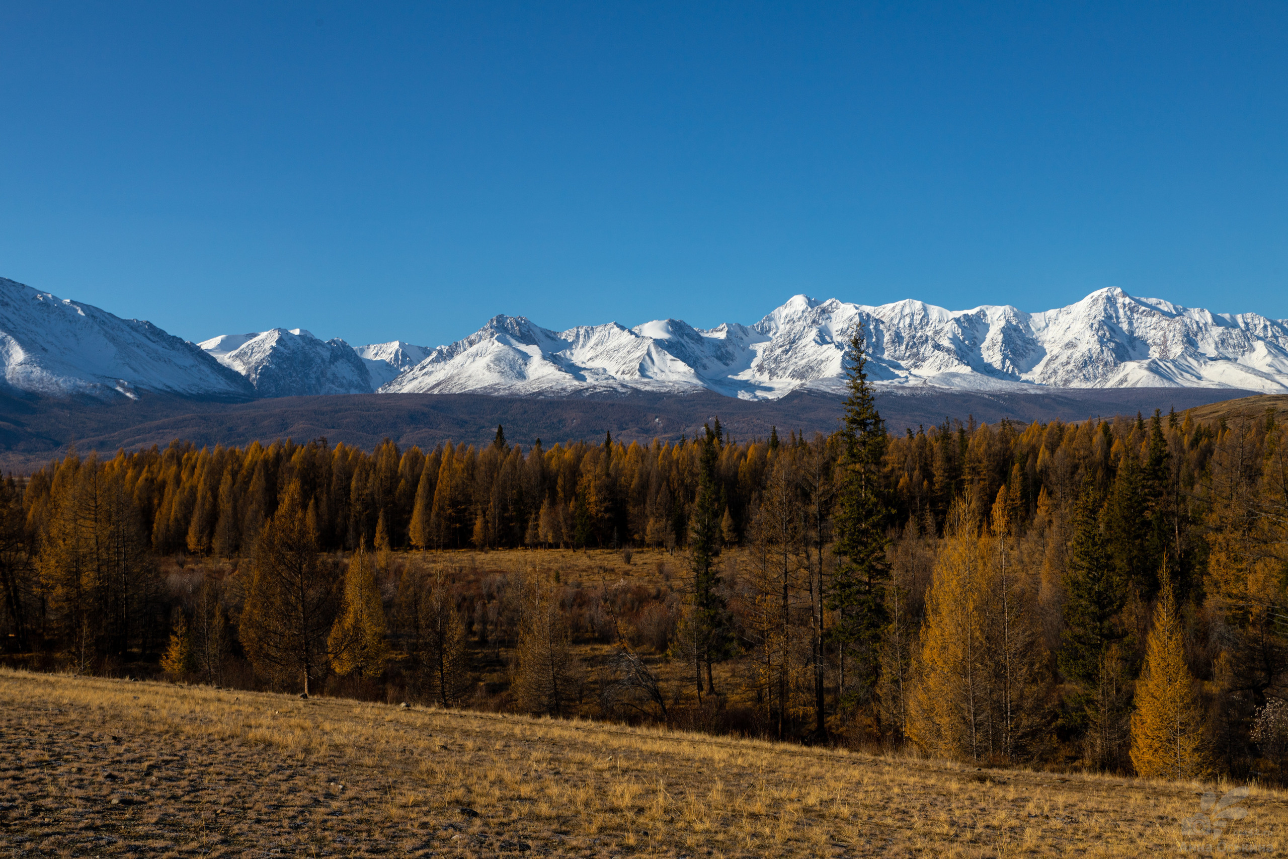 Горный Алтай. Фотограф в Кемерово Анна Оськина