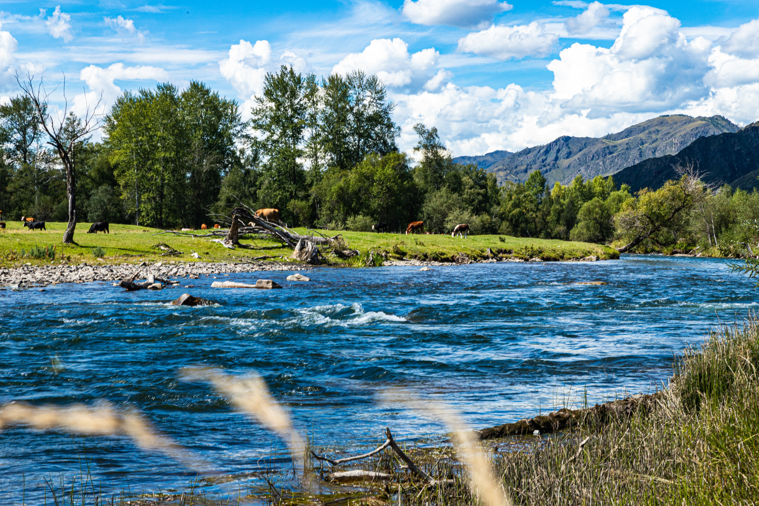 Горный Алтай. Фотограф в Кемерово Анна Оськина
