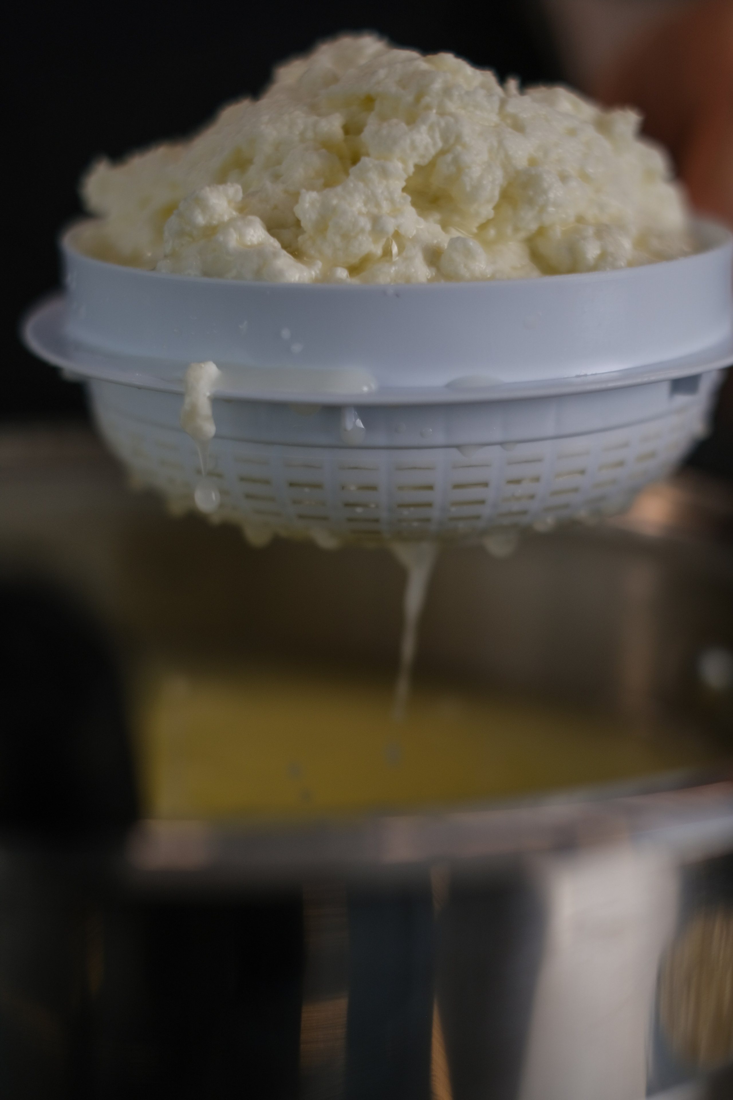 Домашний сыр бренда «TAGA». Портретные и творческие съемки Санкт-Петребург