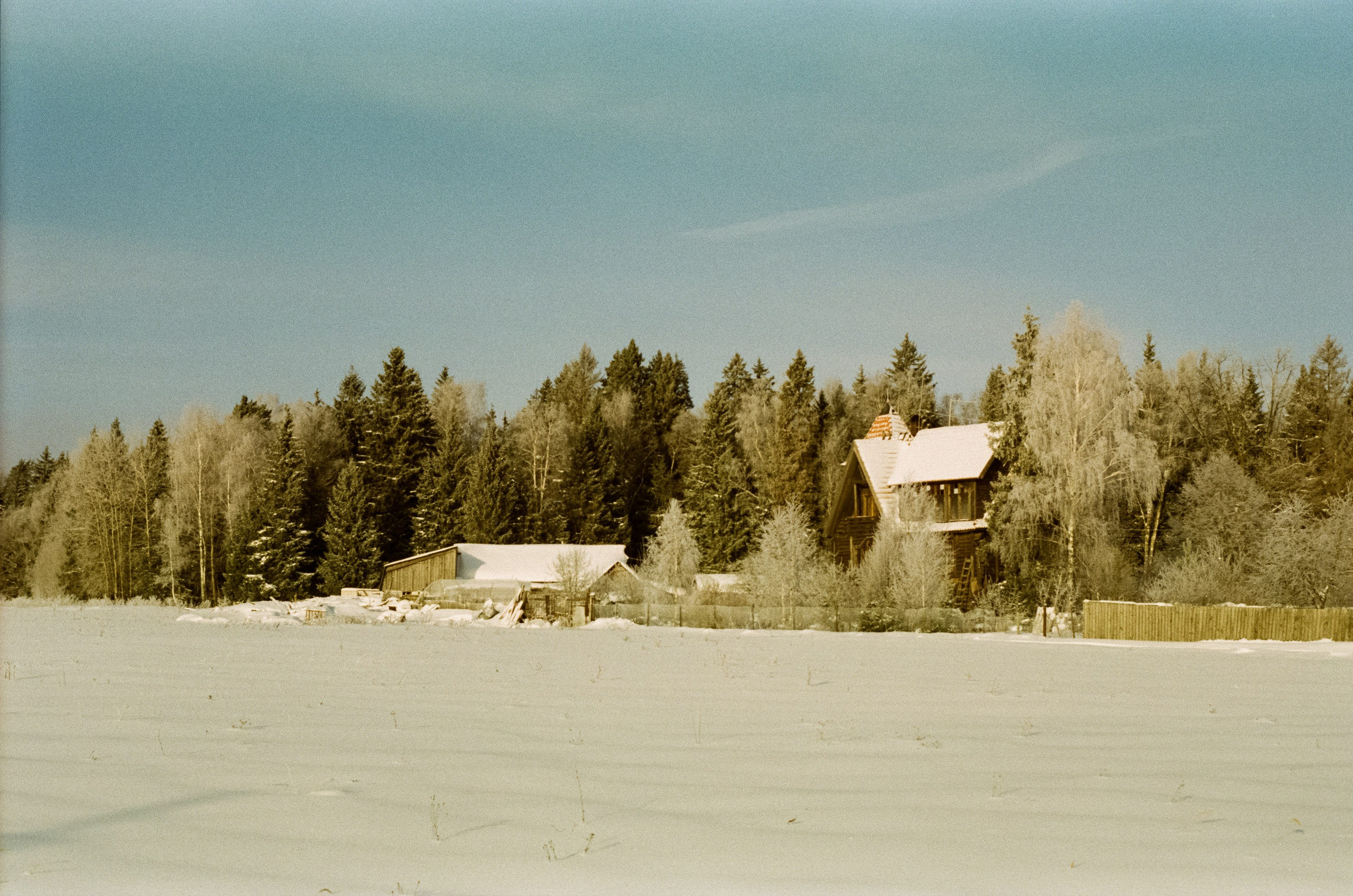 Pentax MZ-3 (1) объектив Schneider-Kreuznach Retina-Xenon 50 mm f/1.9 D