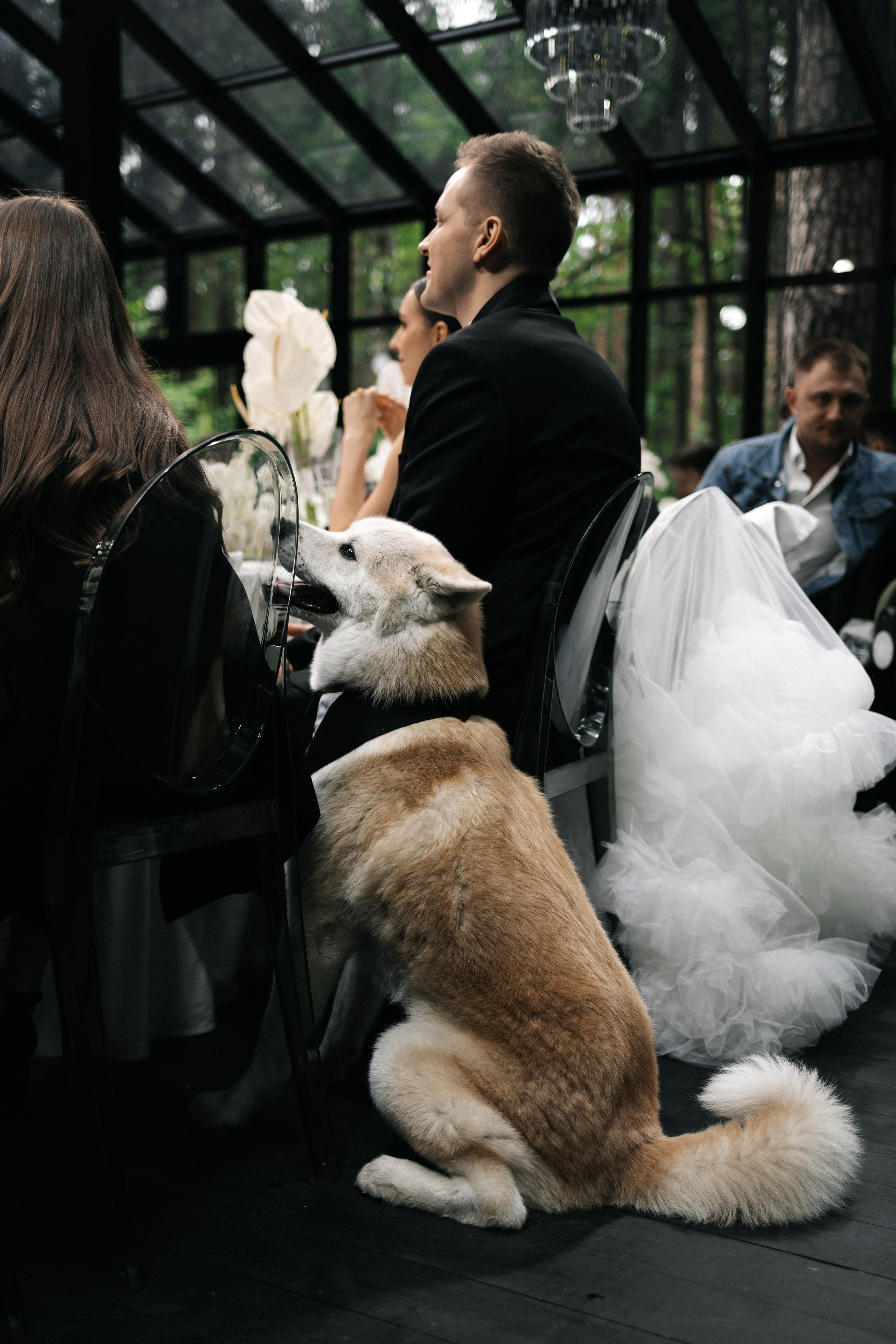 Дарья и Никита. Свадебный фотограф Москва Мотеюнайте Виктория