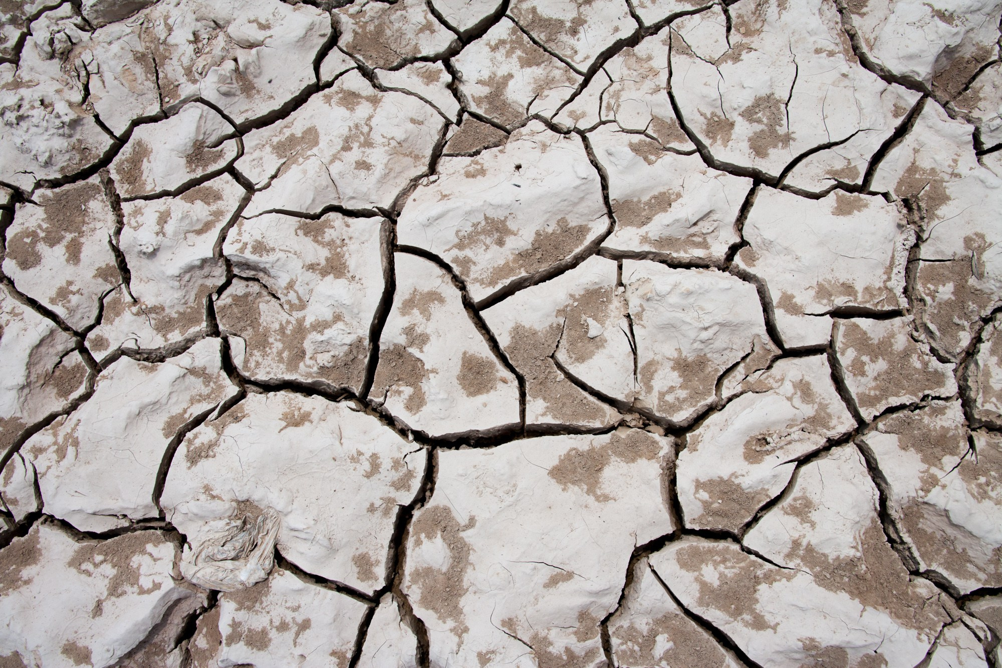 Фотосъёмки в Камбодже. Фотограф Алексей Скоробогатько