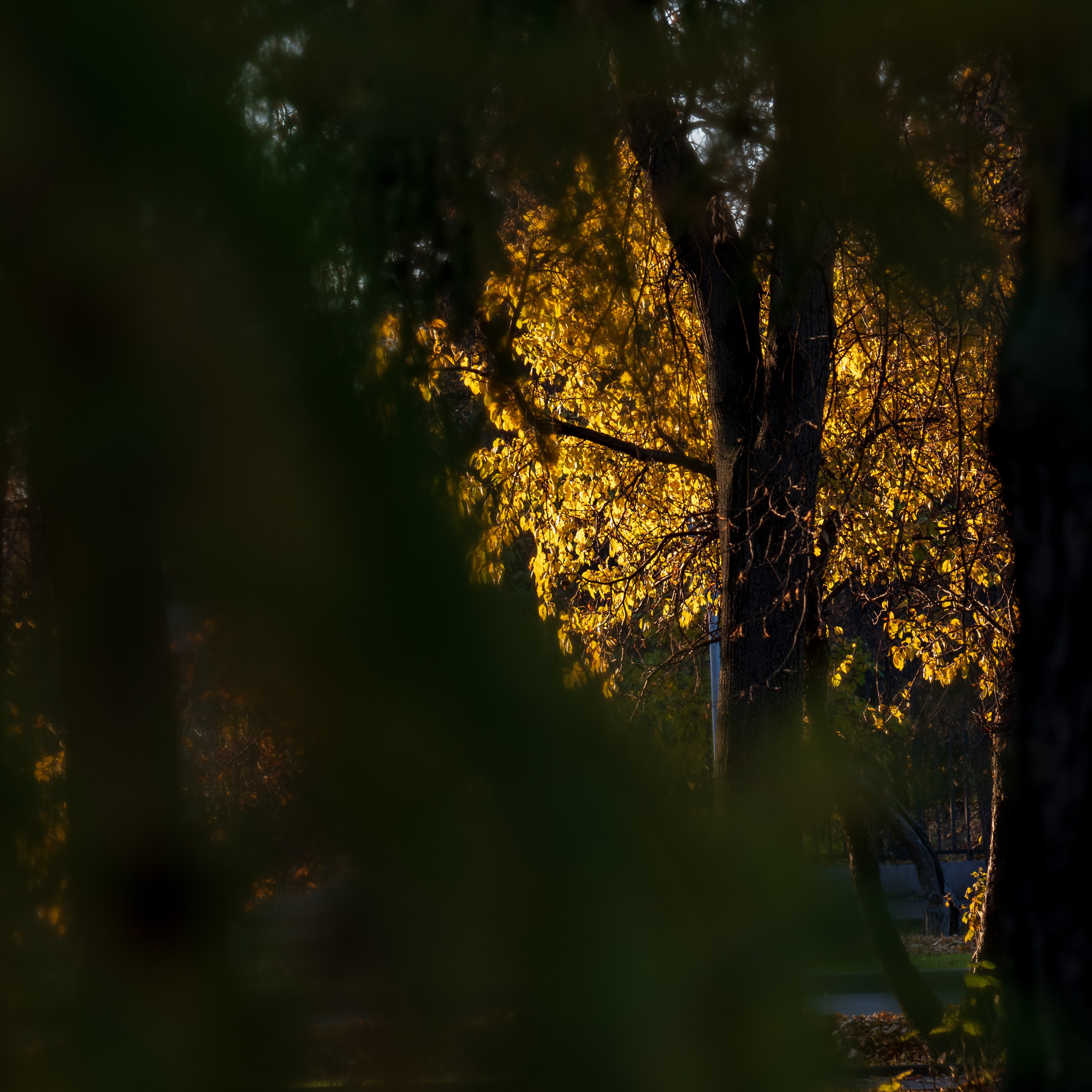 20211010 МГУ. Дмитрий Ремизов. Фотография, как хобби