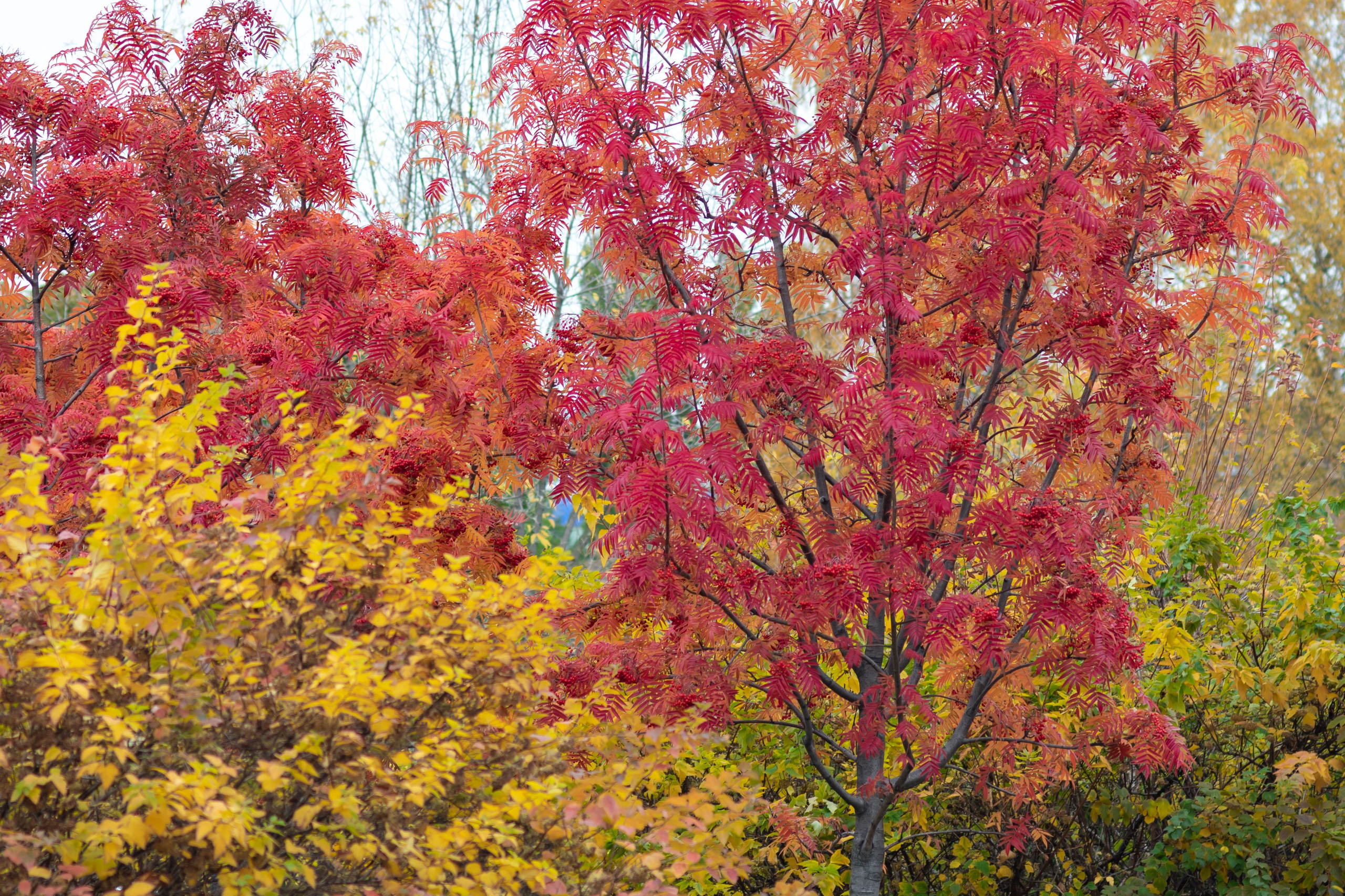 20211017 Музеон. Дмитрий Ремизов. Фотография, как хобби