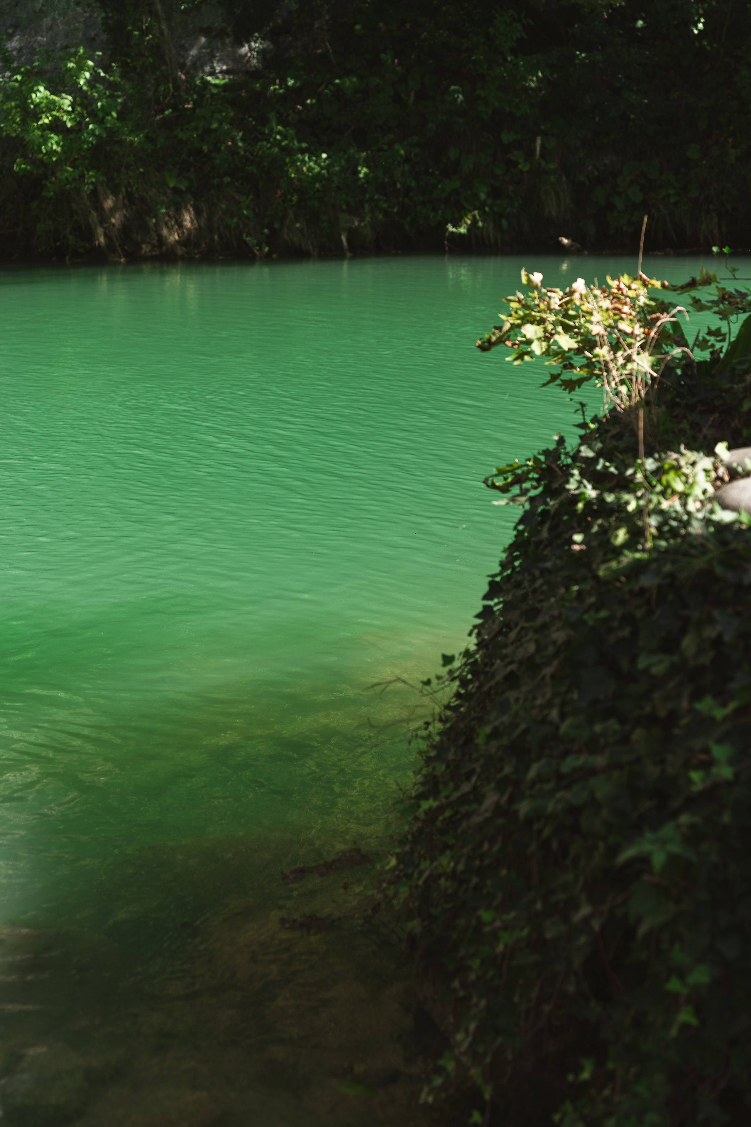 Фотографии из поездки в Абхазию. Предметный фотограф Санкт-Петербург