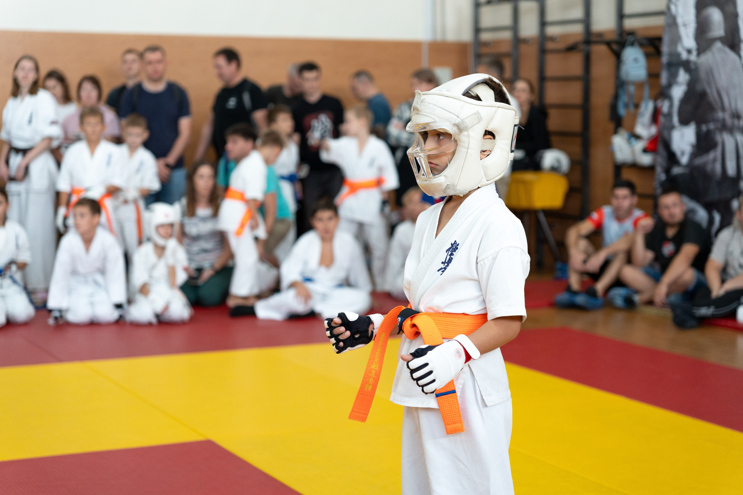 Репортажная съемка соревнований по каратэ. Профессиональный фотограф Геленджик, Новоросийск Виктория Цейс
