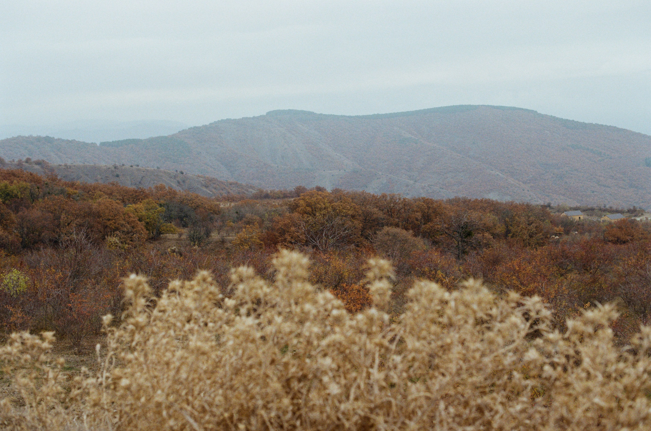 Wherever you will go // ukraine, crimea V. EVER EXPOSED