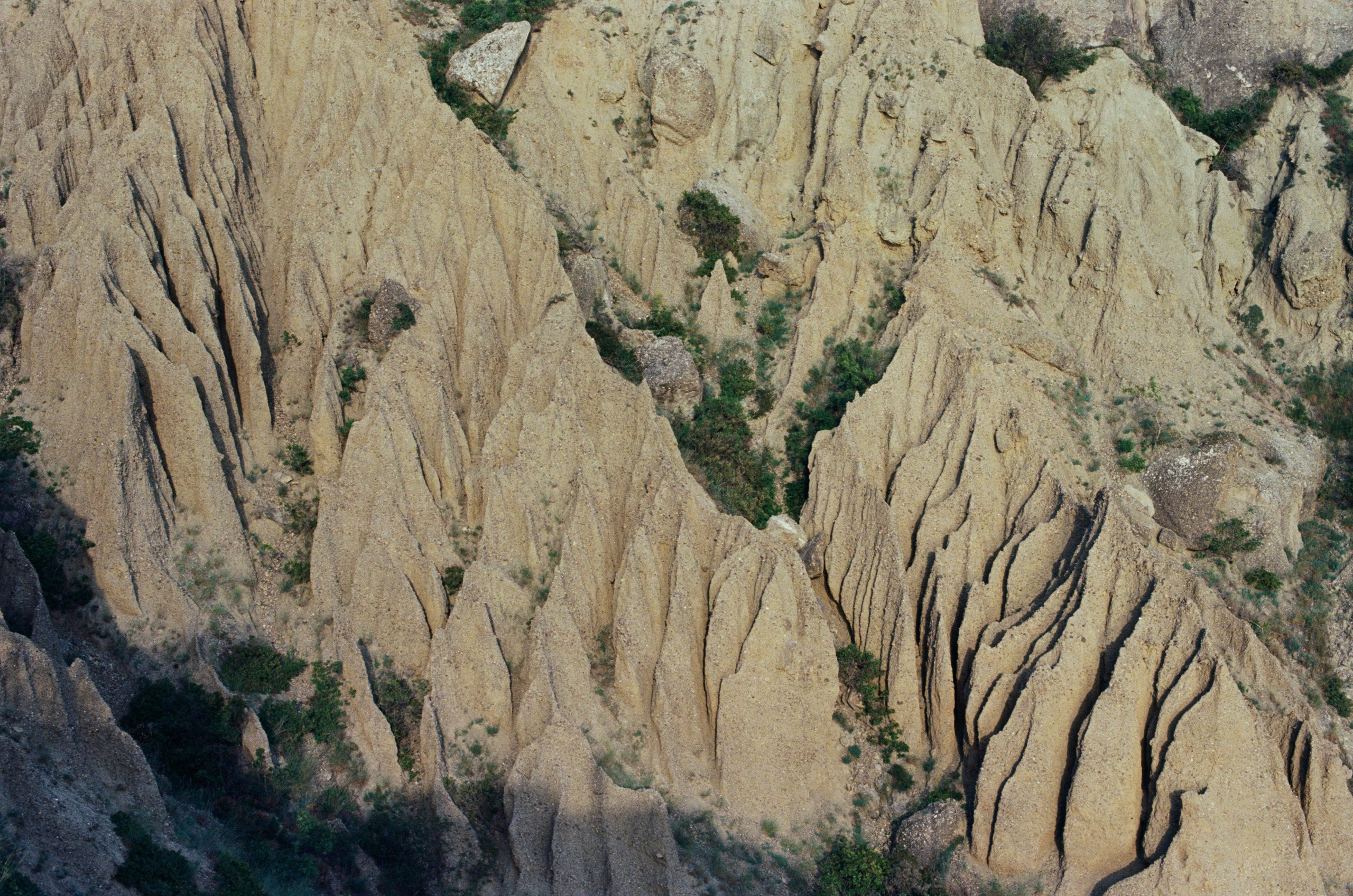 Kool-aid // ukraine, crimea V. EVER EXPOSED