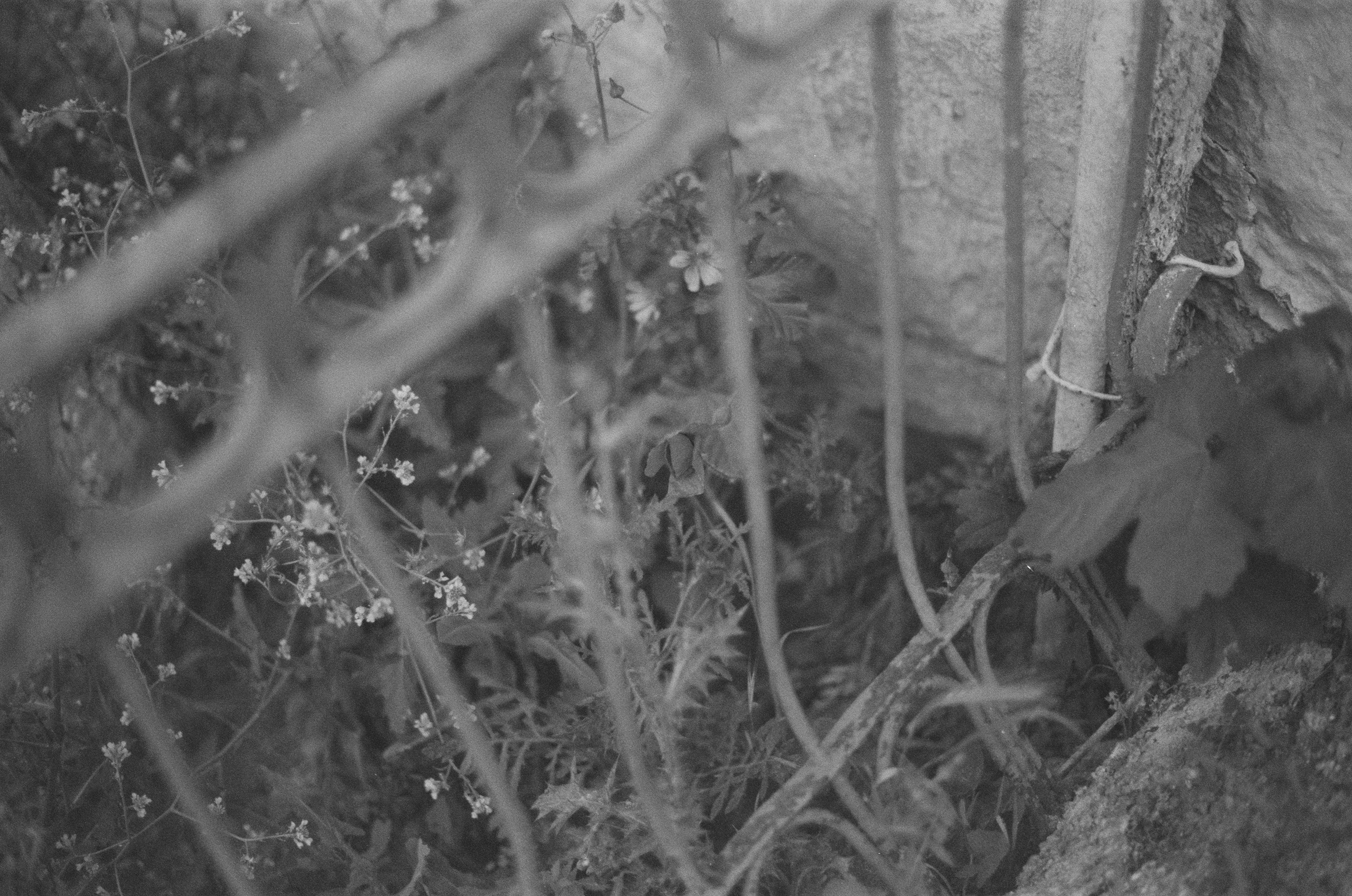 Plastinki // ukraine, crimea IV. EVER EXPOSED