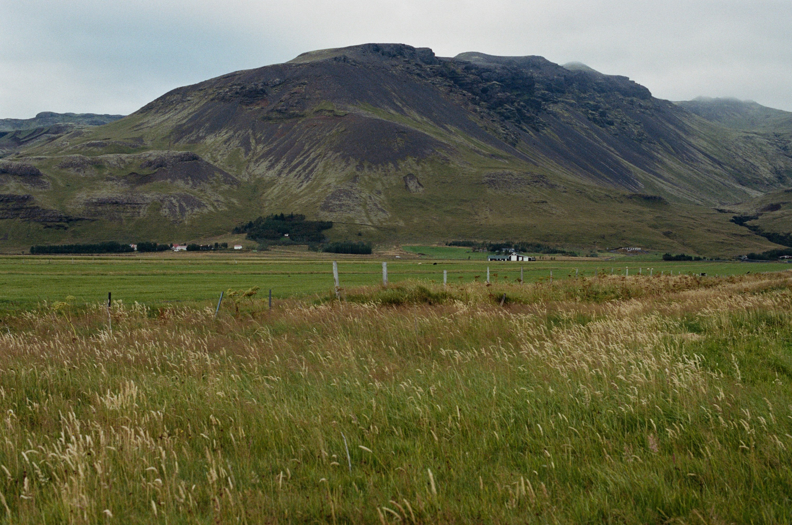 Vor i vaglaskogi // iceland, dyrhólaey. EVER EXPOSED