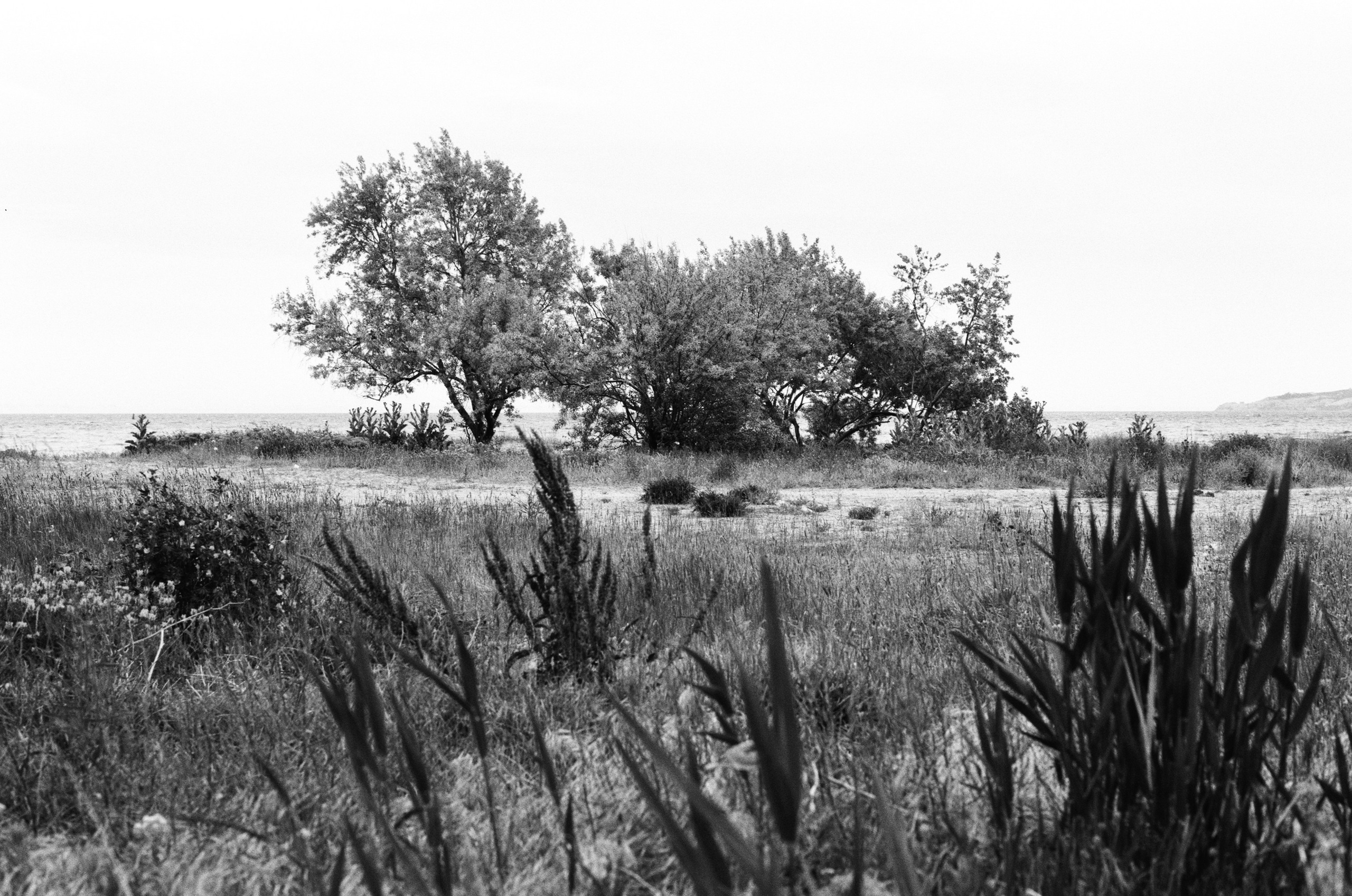 Sparks // ukraine, crimea III. EVER EXPOSED