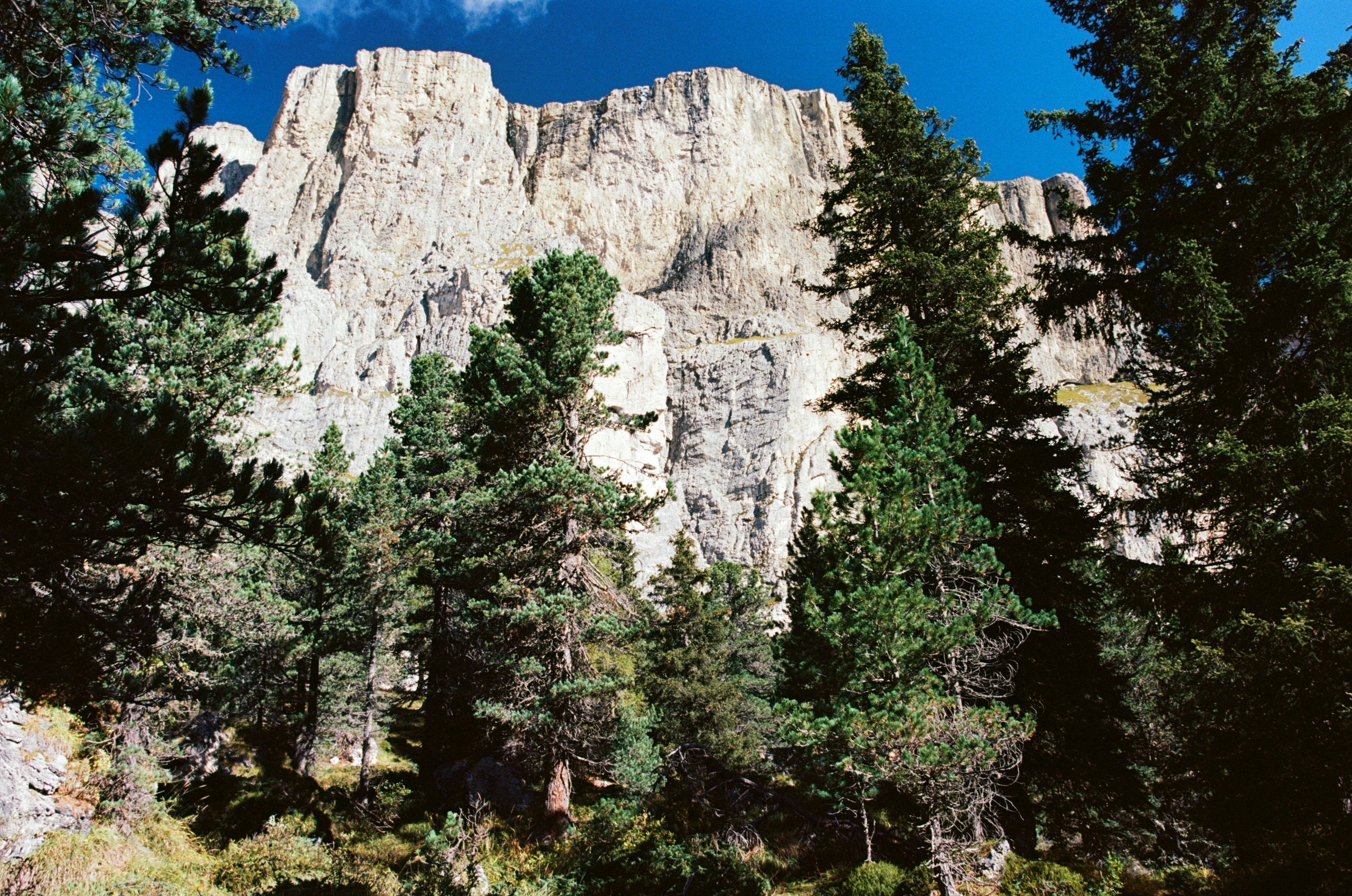 Il dono della vita // italy, dolomites V. EVER EXPOSED