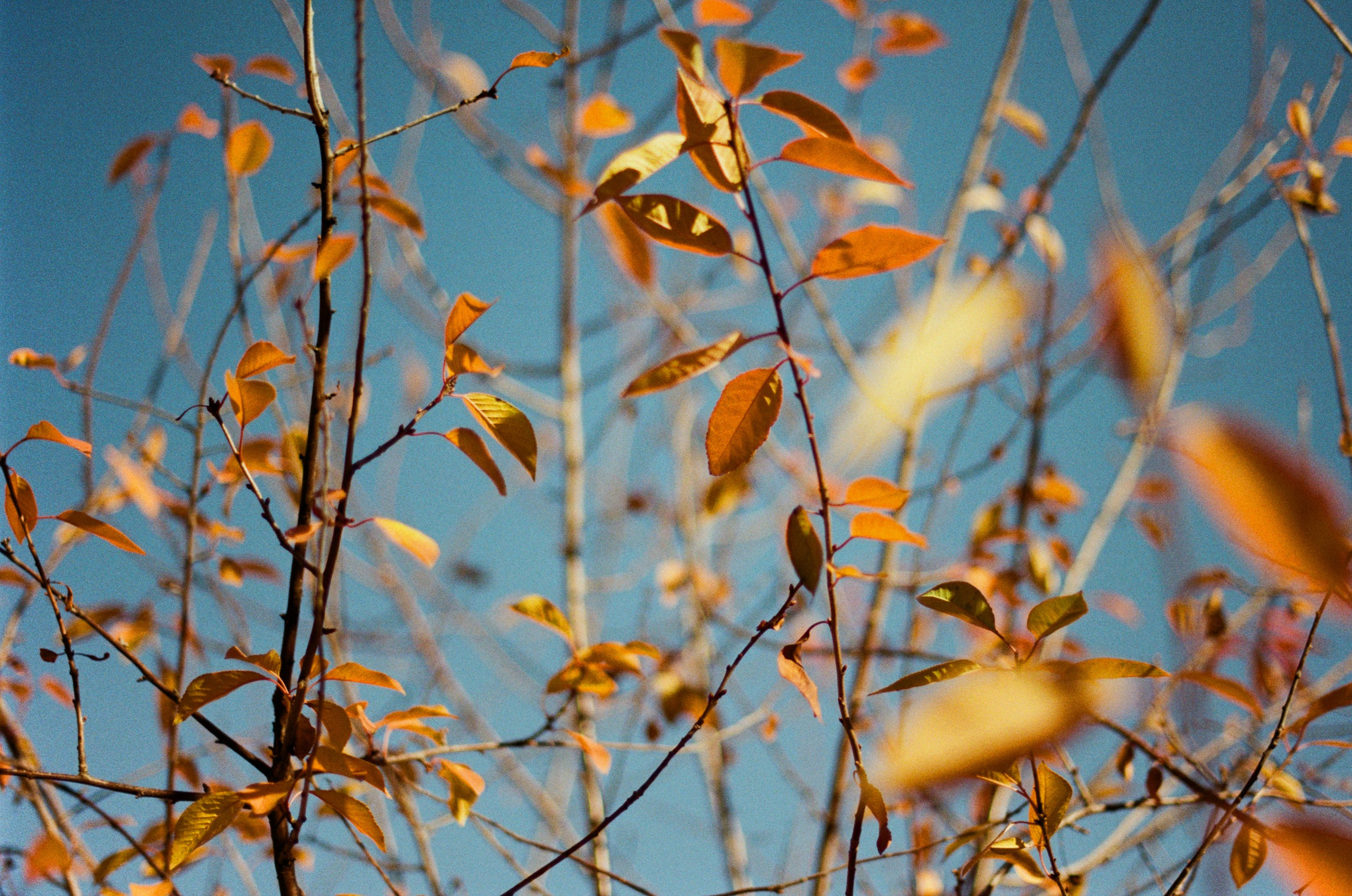 Wherever you will go // ukraine, crimea IV. EVER EXPOSED