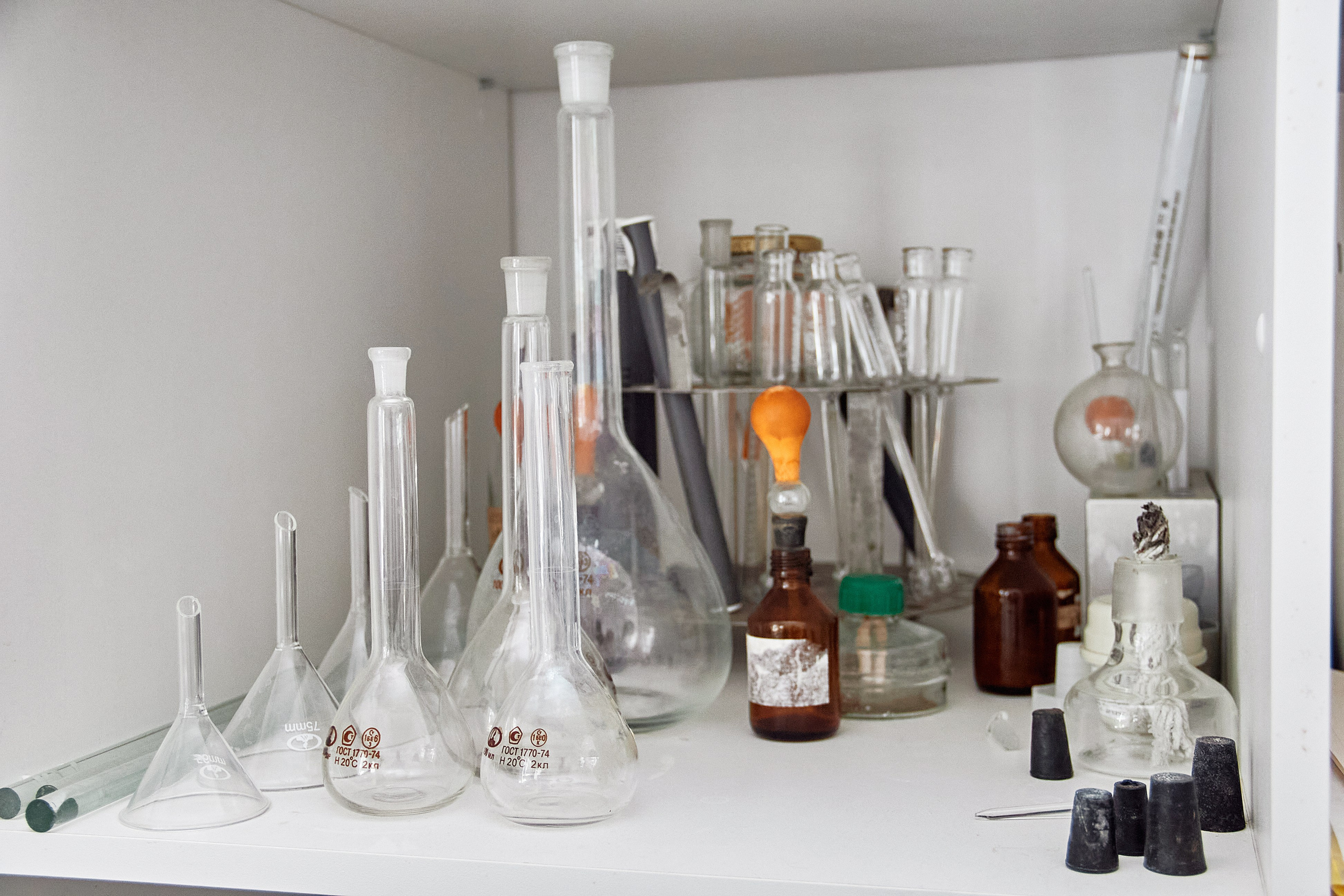 Экскурсия «Агроферма-Катынь». Фотограф в Смоленске Ася Польшина