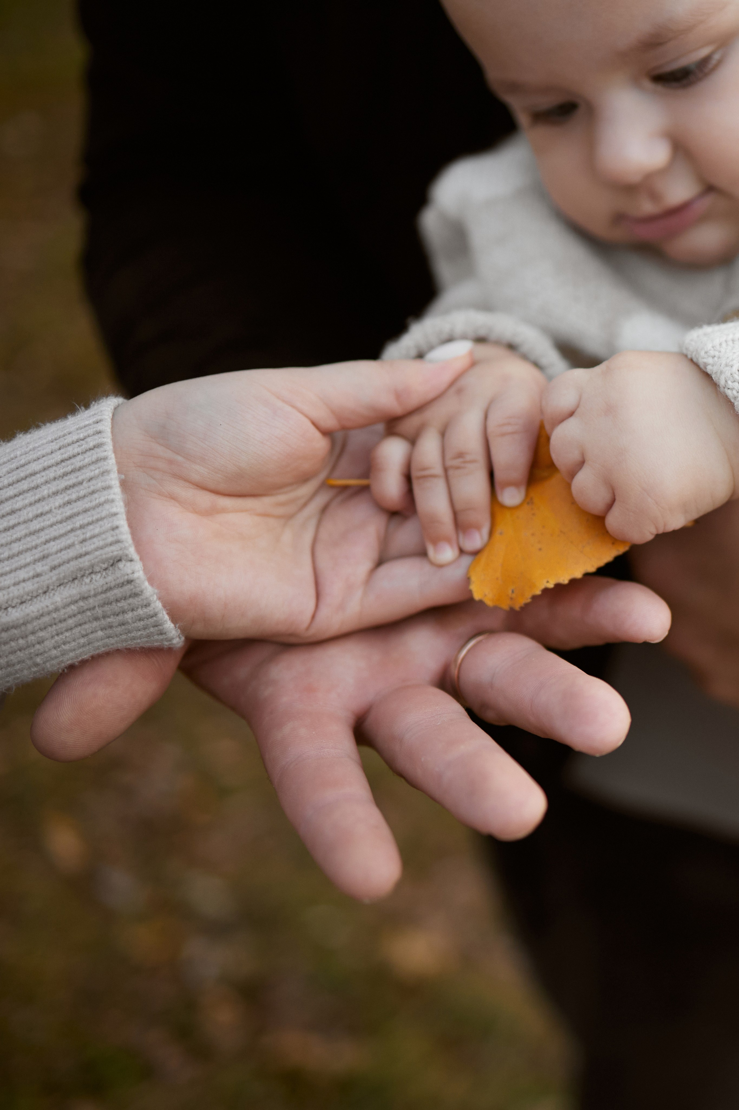 Семейная в лесу. Juliashtondic. photo