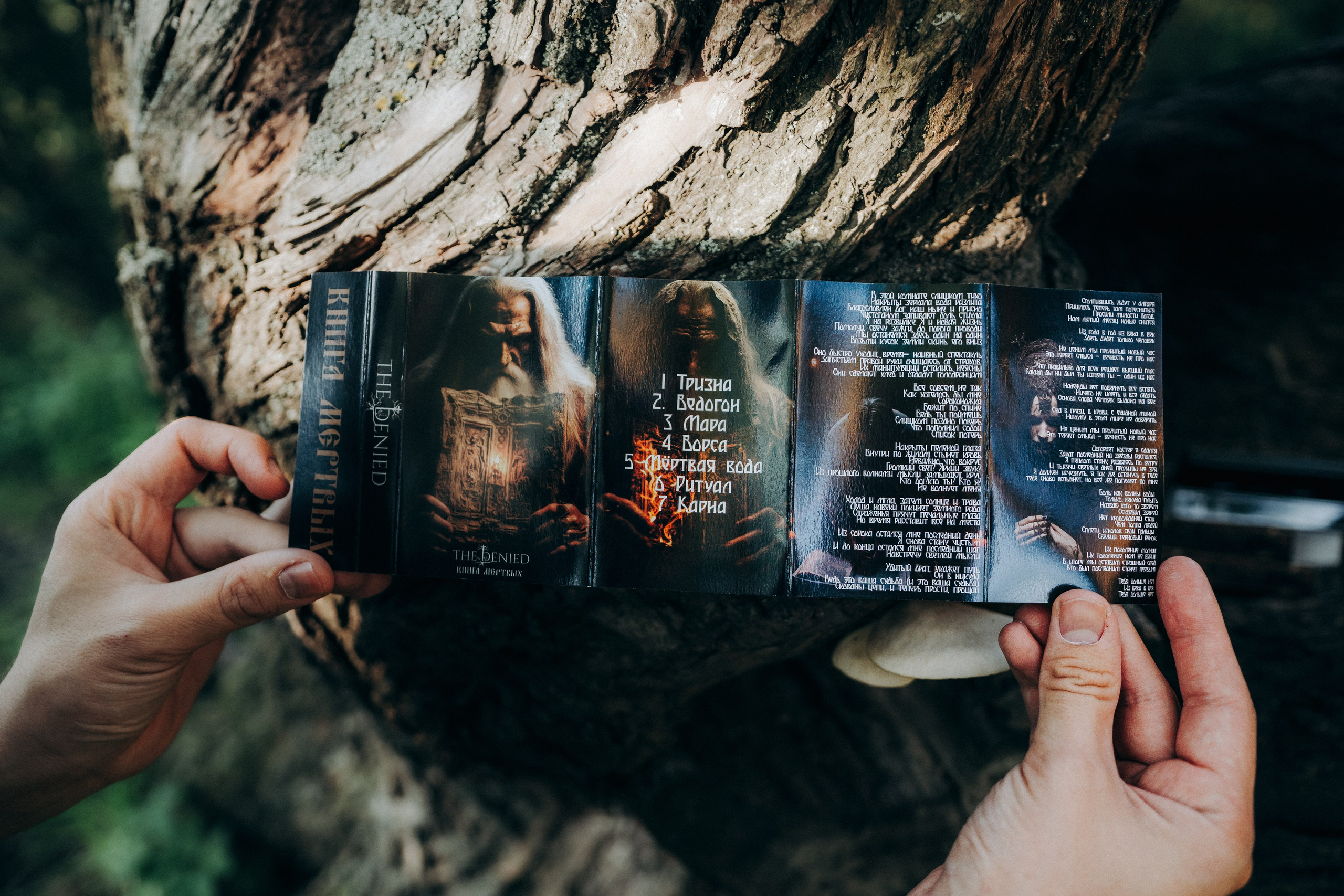 Мерч для The Denied