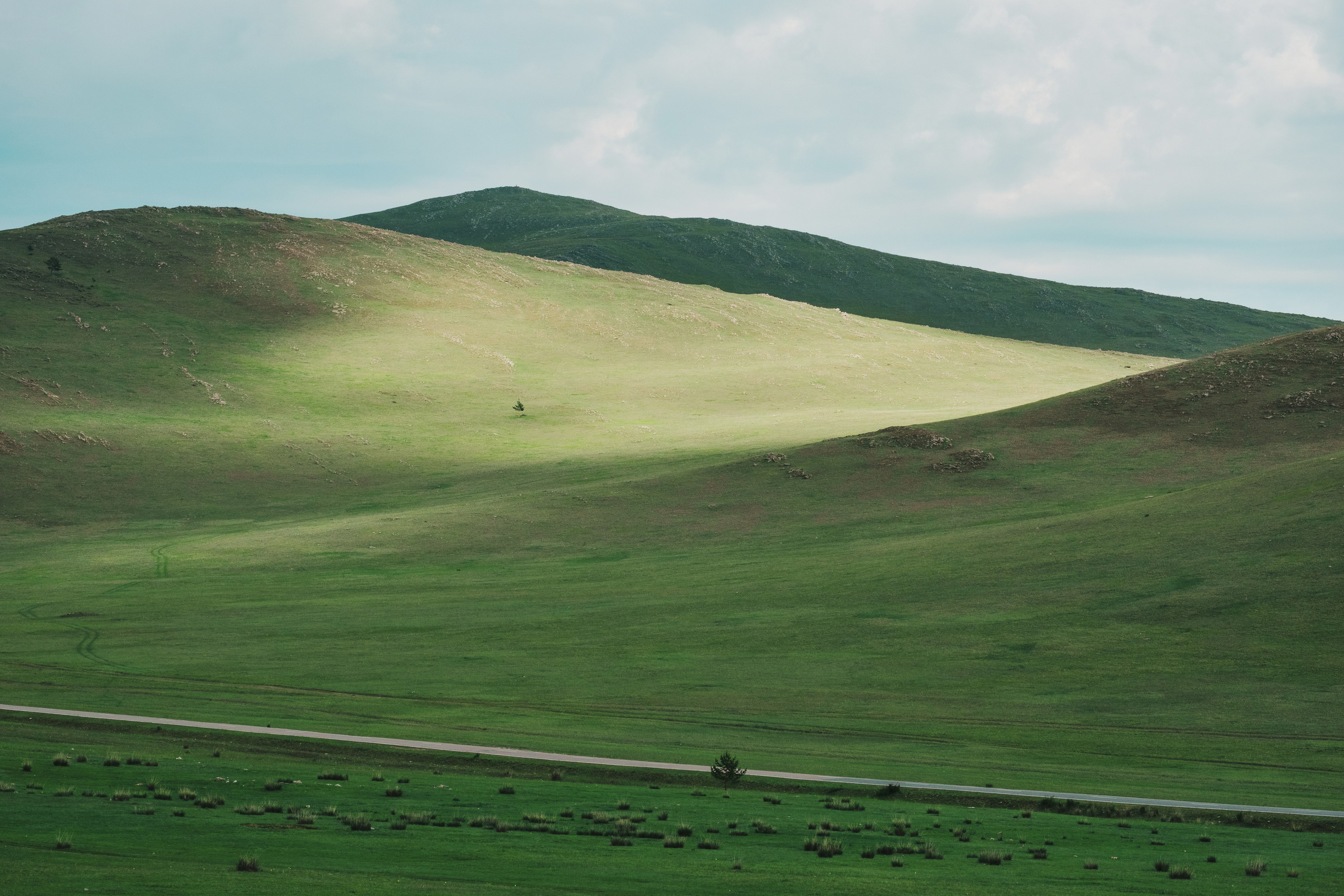 Landscapes. Irina Borodina