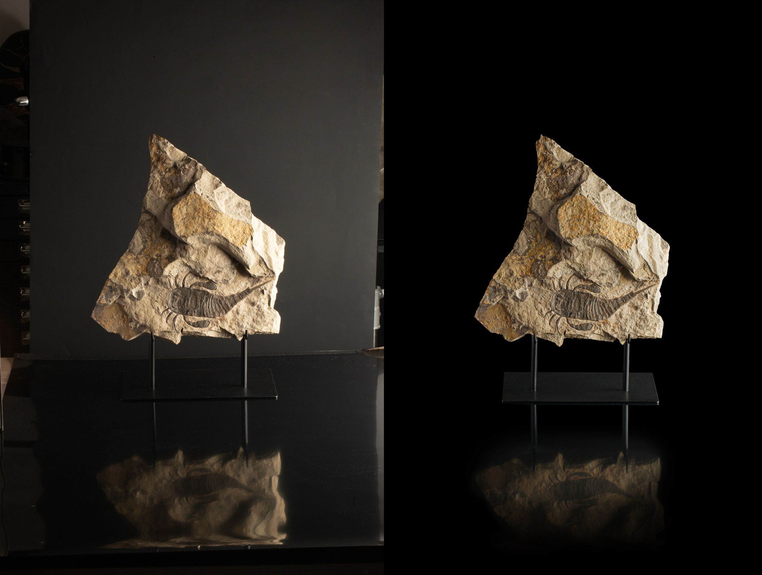 Предметы коллекционирования