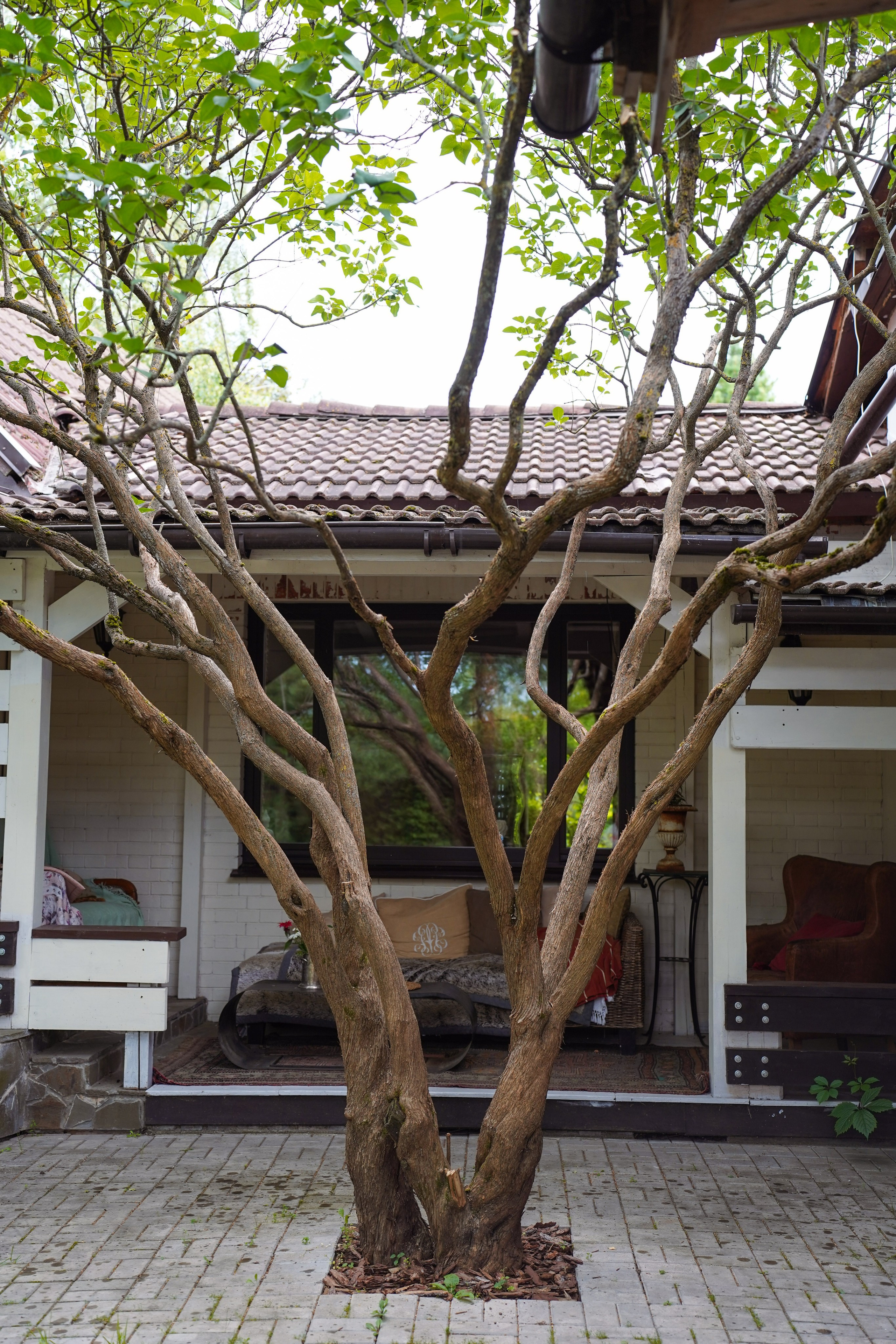 Ретрит в Звенигороде. Портретный фотограф в Москве Анастасия Шагирова