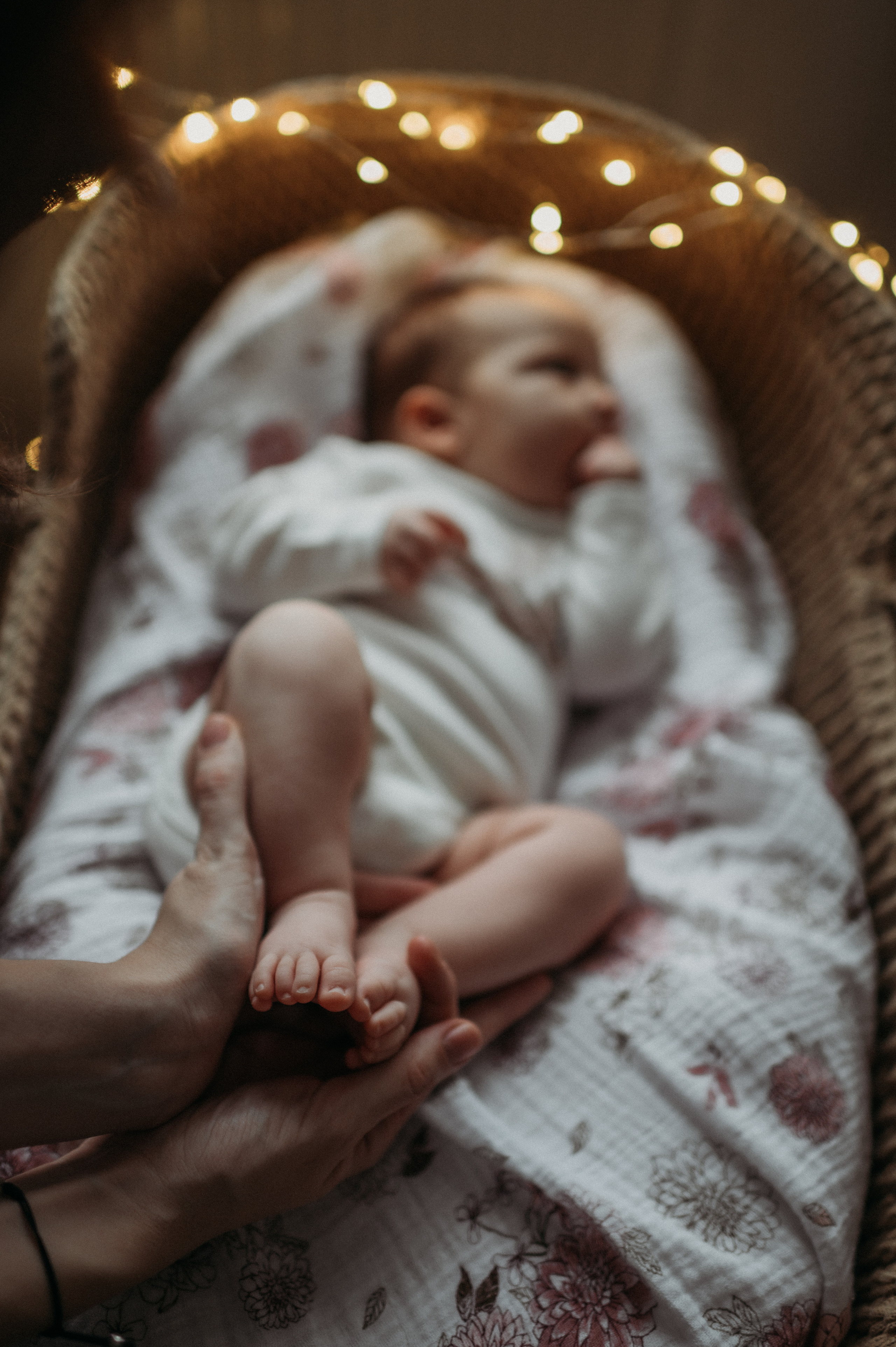 Саша, Никита, Стеша и Соня. Семейный фотограф в Дубае и Москве Ольга Белотуркина